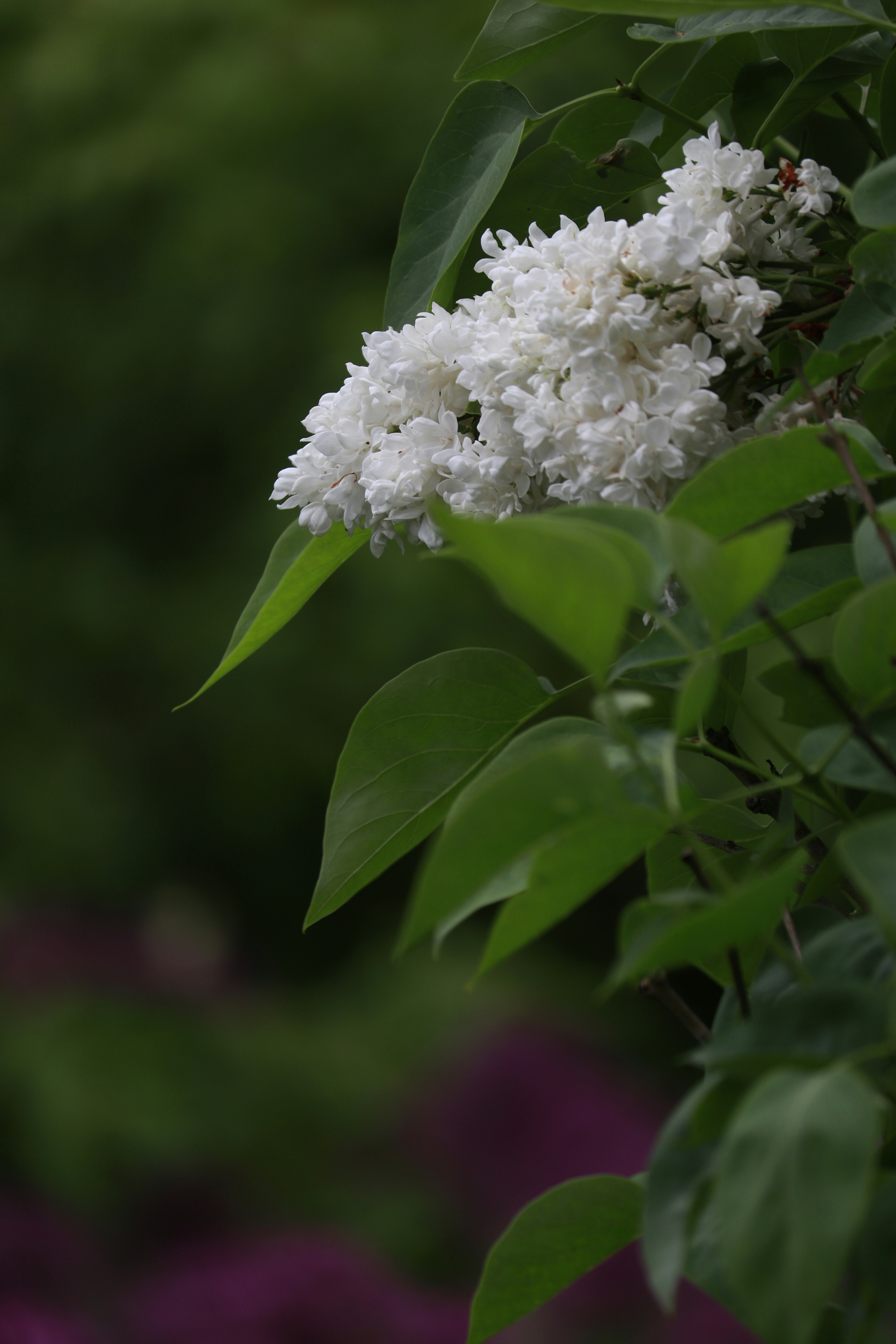 Photo by dhruv_padaliya