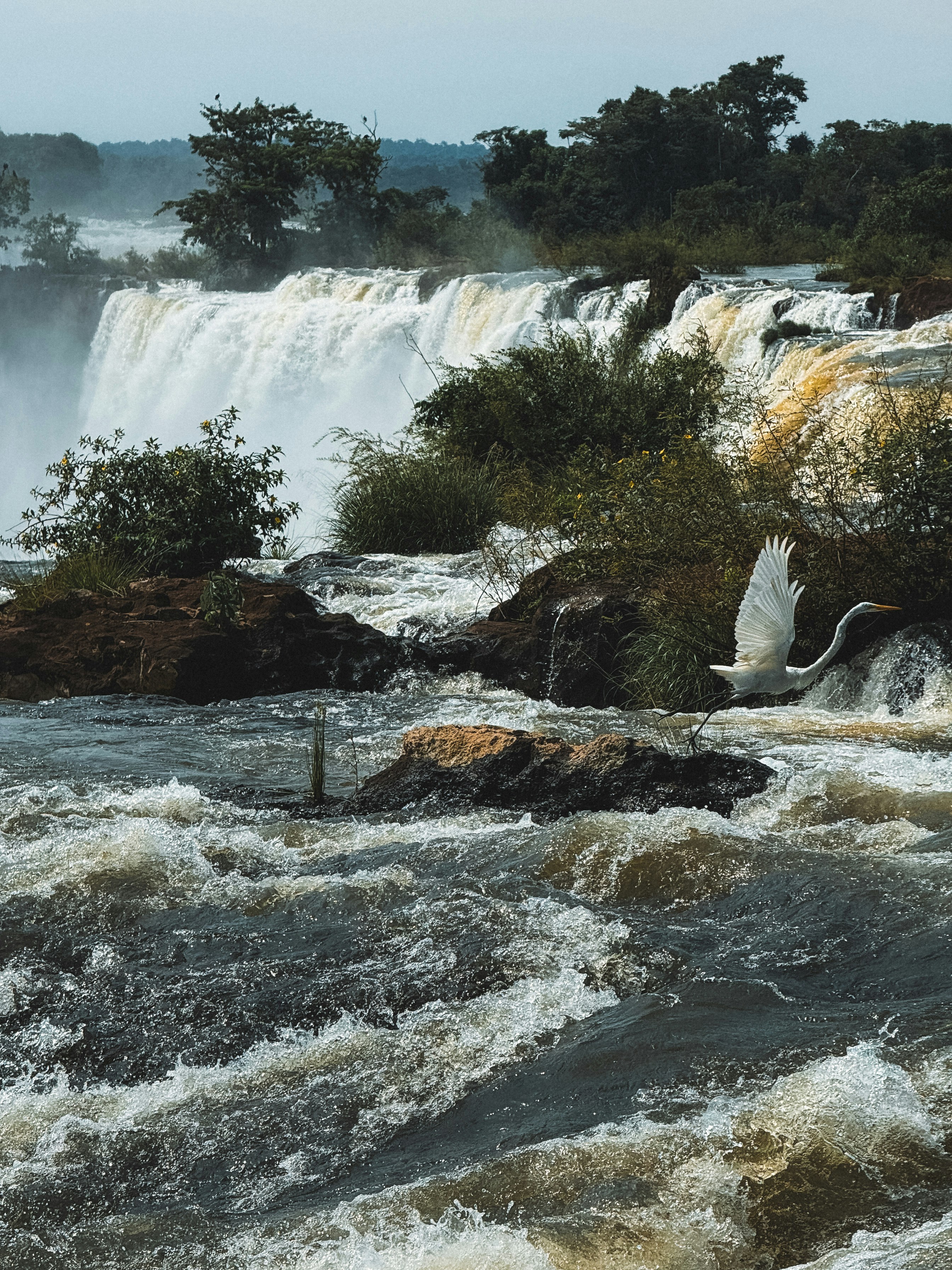The Brazilian Side: Panoramic Vantage Points and Compositions
