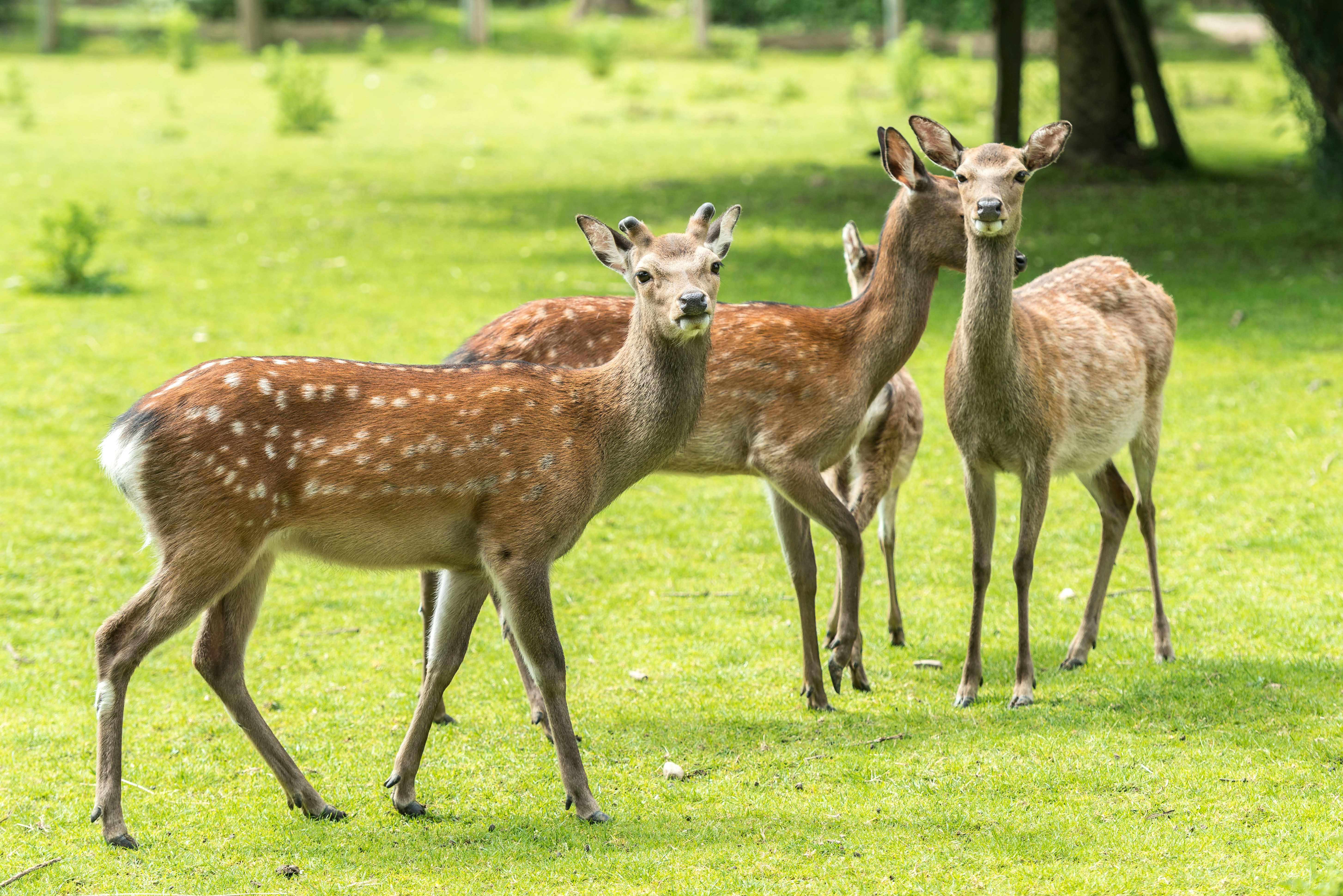 Photo by hamburgmeinefreundin