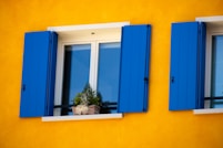 two windows with blue shutters and a potted plant