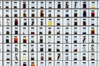 a wall of bottles filled with different types of liquid