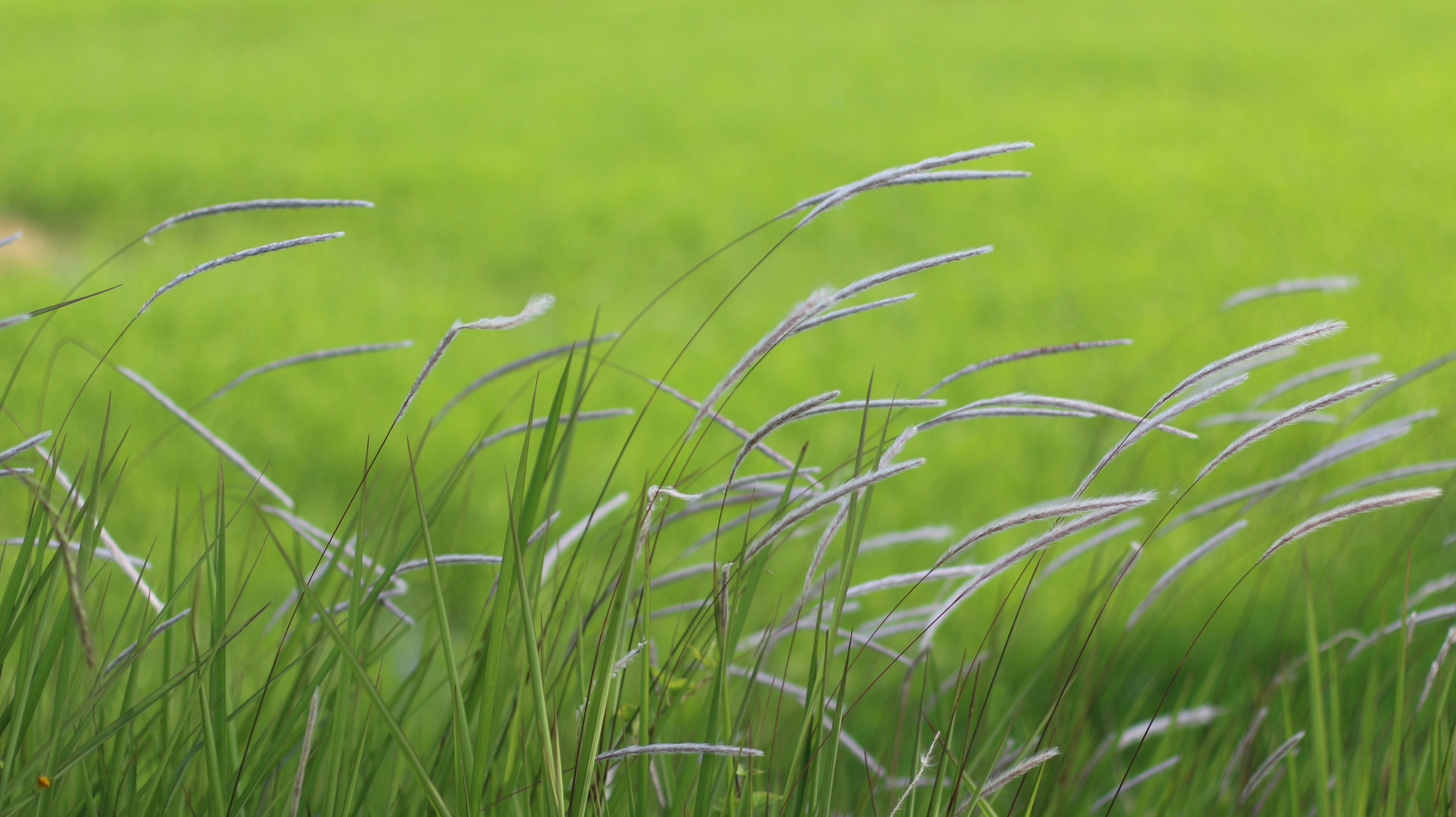 Photo by hanxiaoyaaaaa