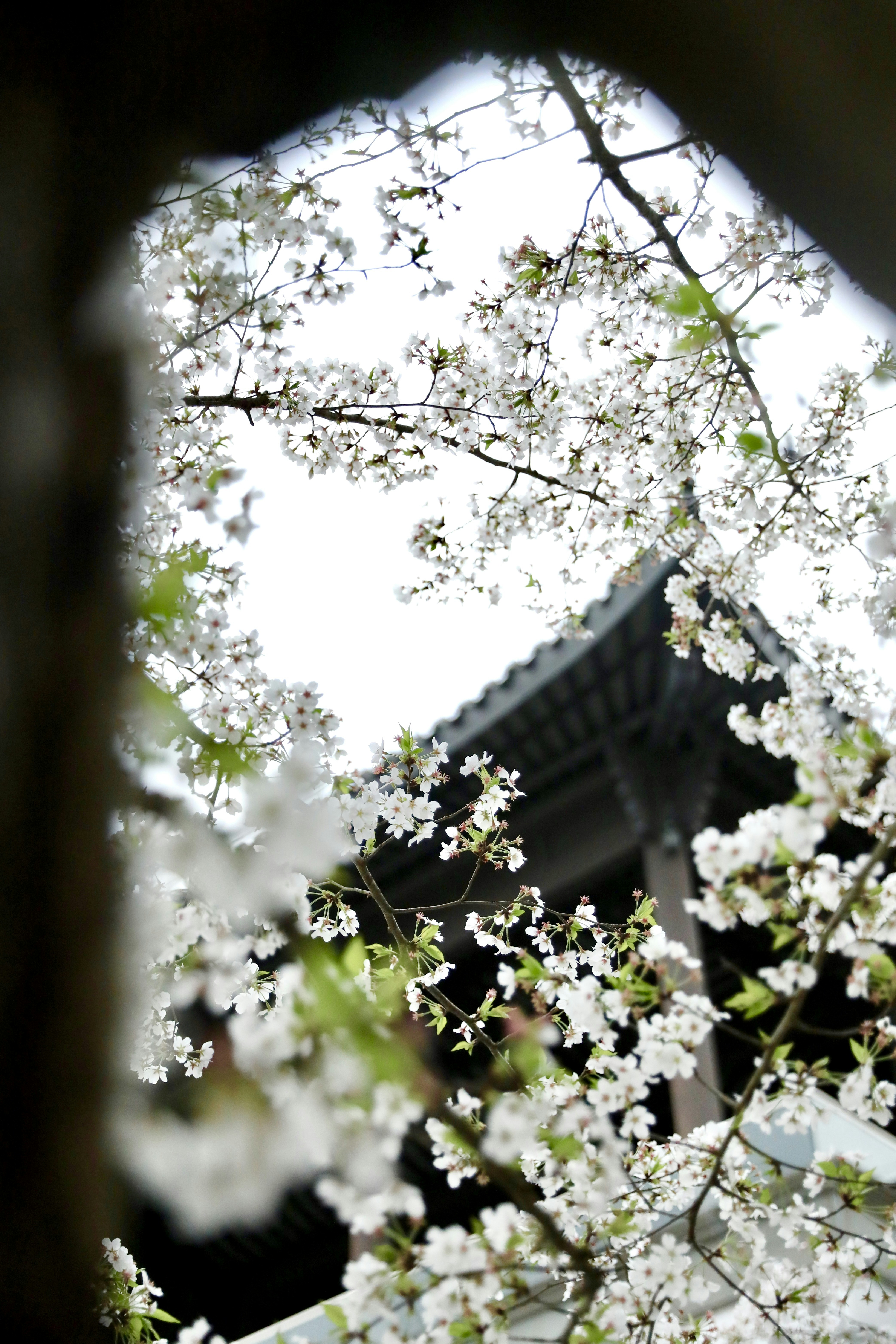 Photo by hanxiaoyaaaaa