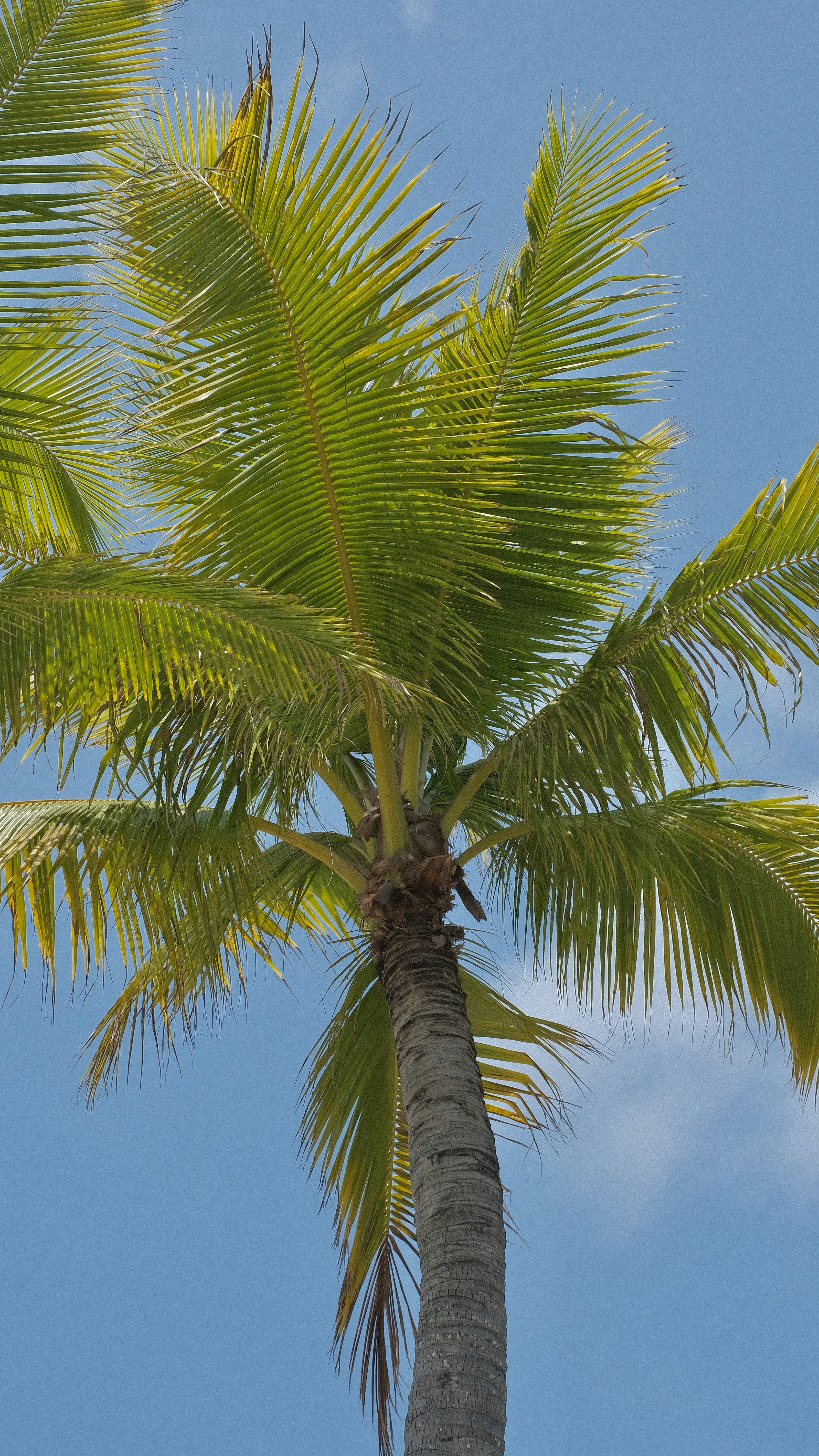 Photo by hanxiaoyaaaaa