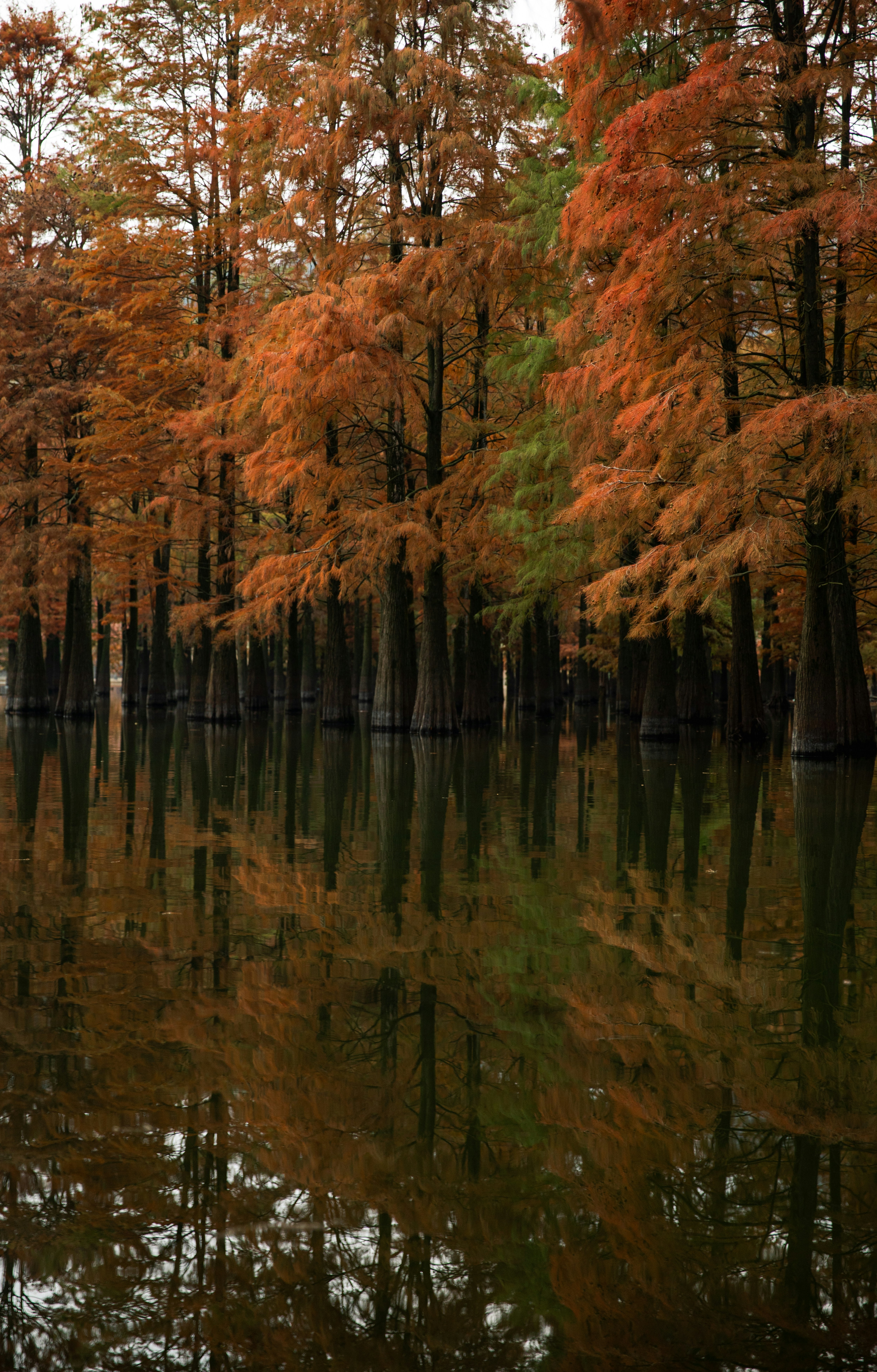 Photo by hanxiaoyaaaaa