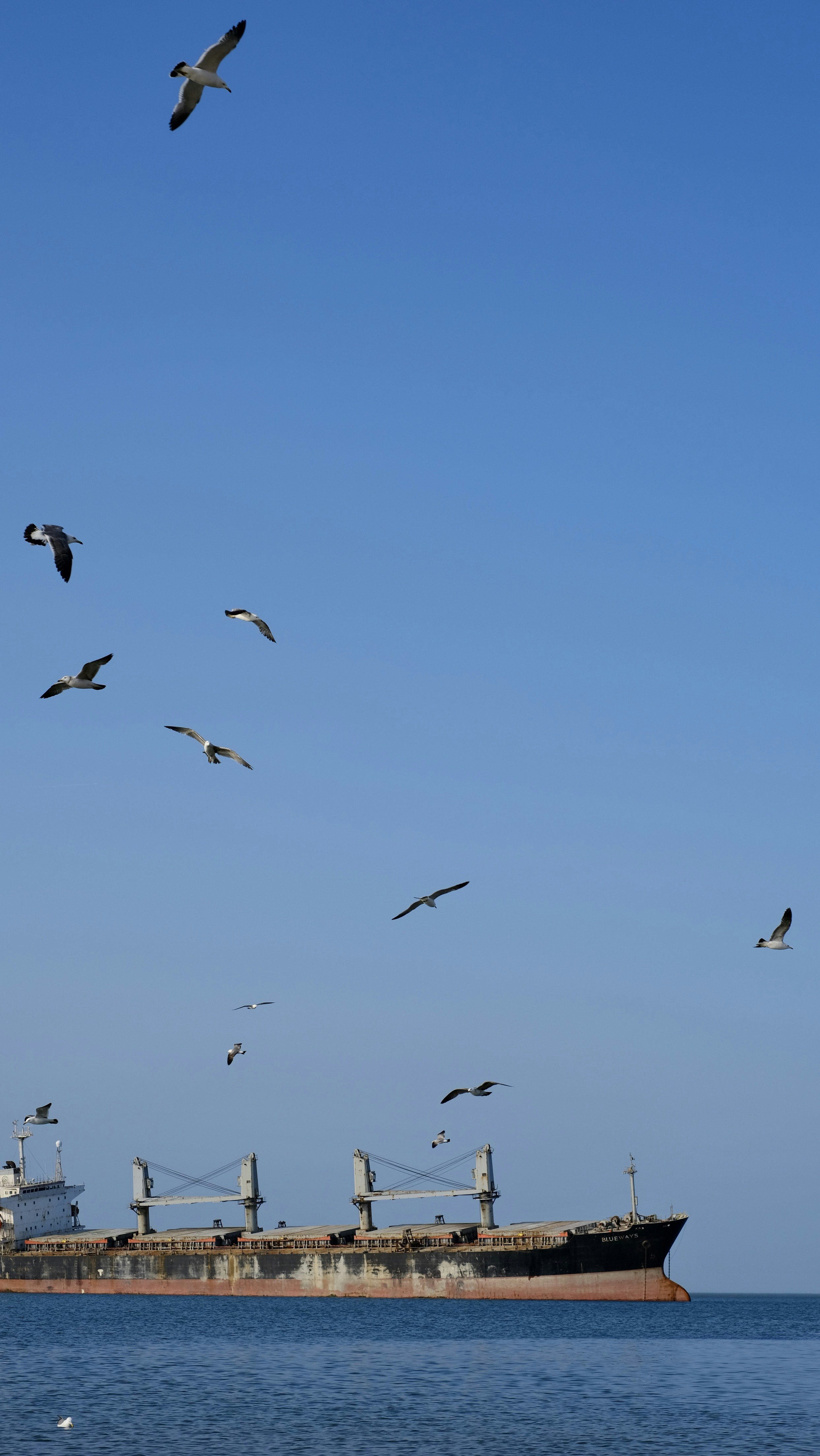 Photo by hanxiaoyaaaaa