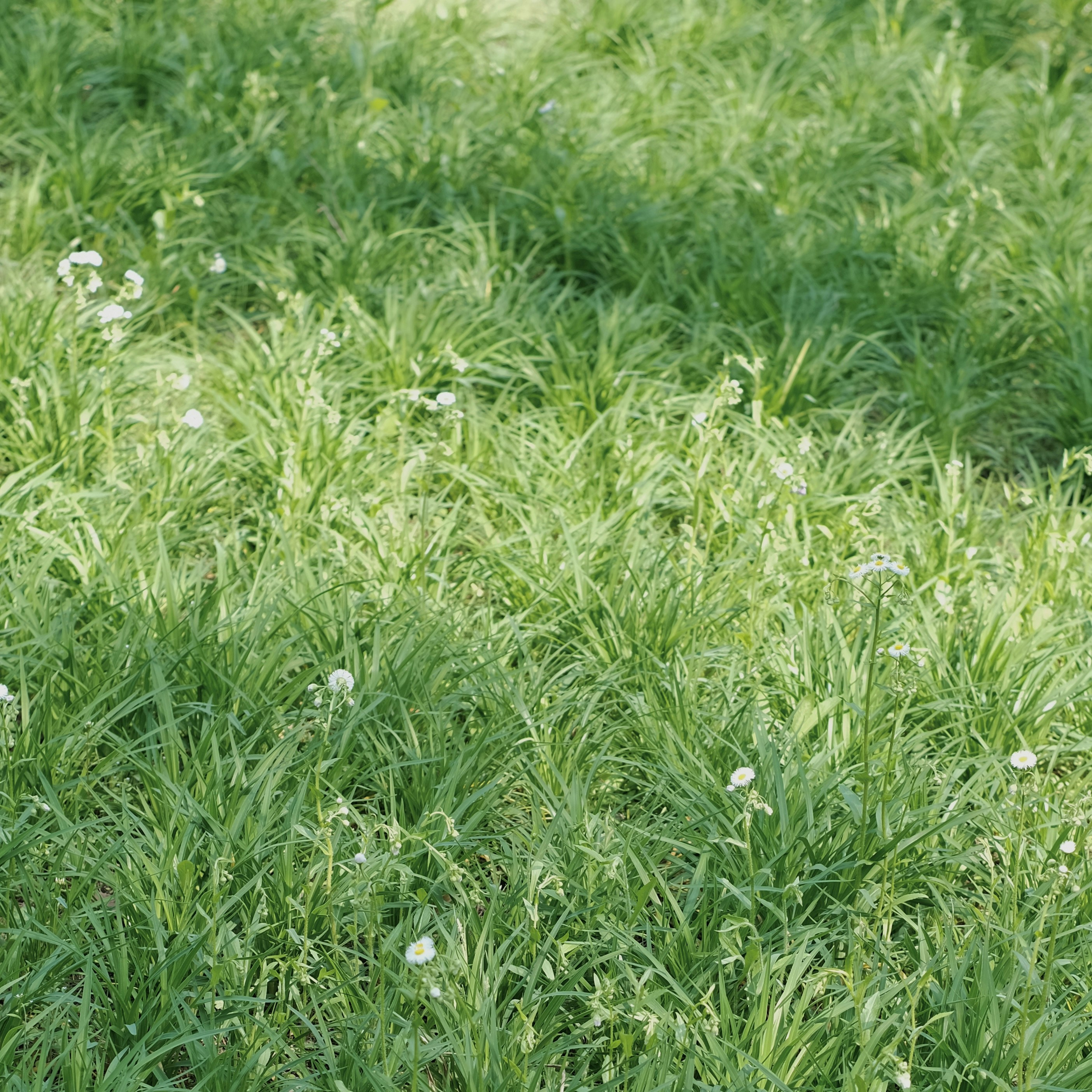 Photo by hanxiaoyaaaaa