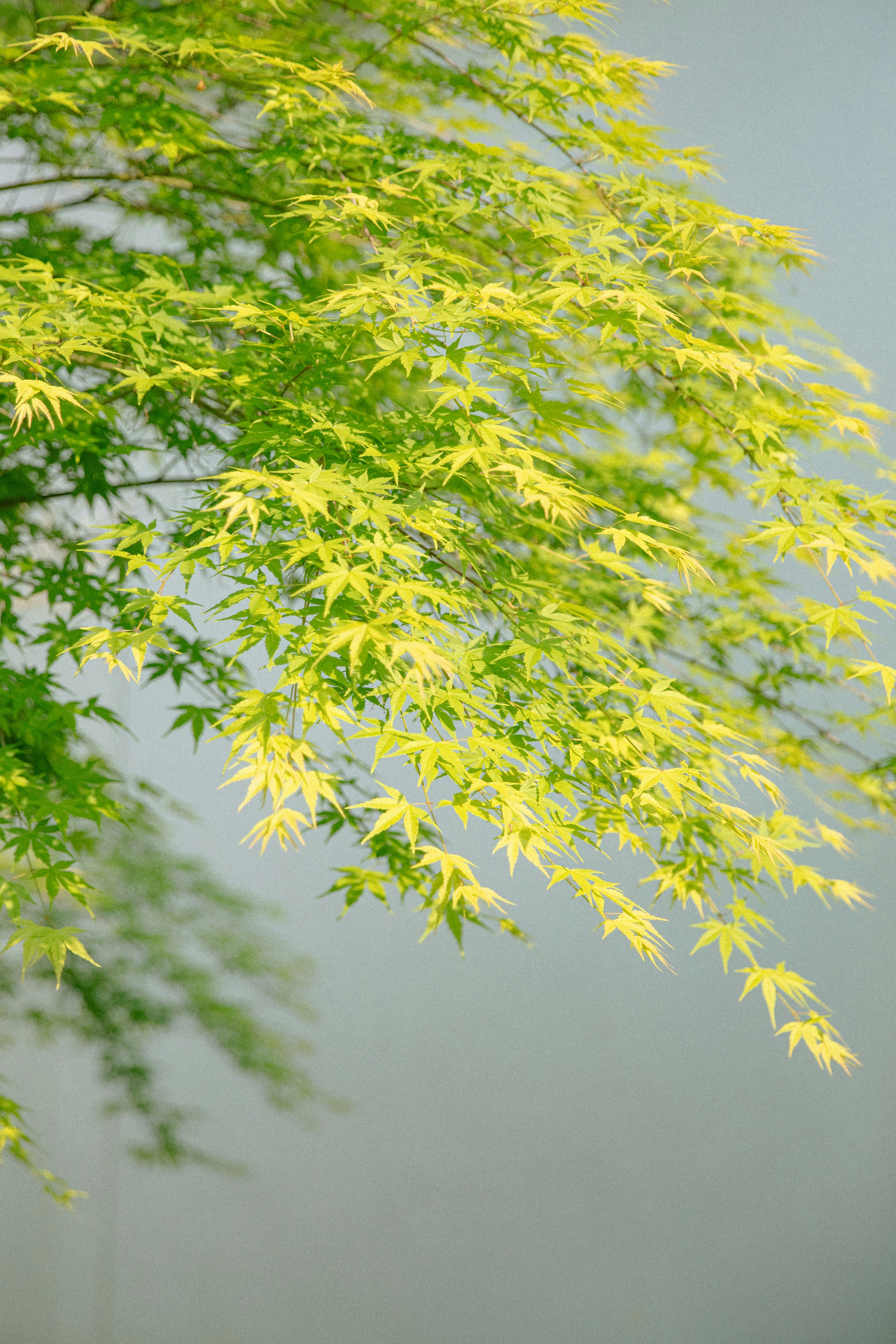 Photo by hanxiaoyaaaaa