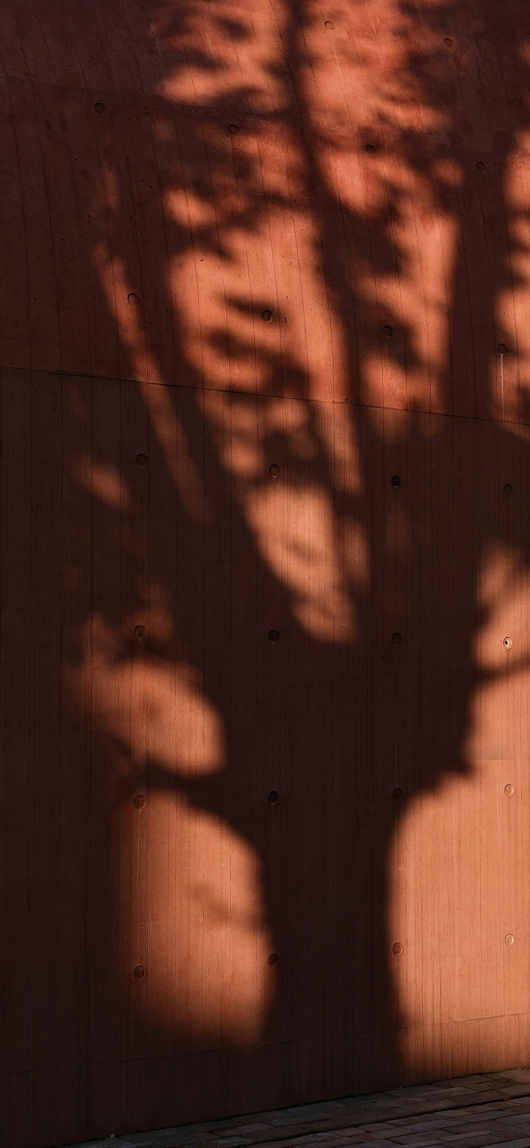 Photo by hanxiaoyaaaaa