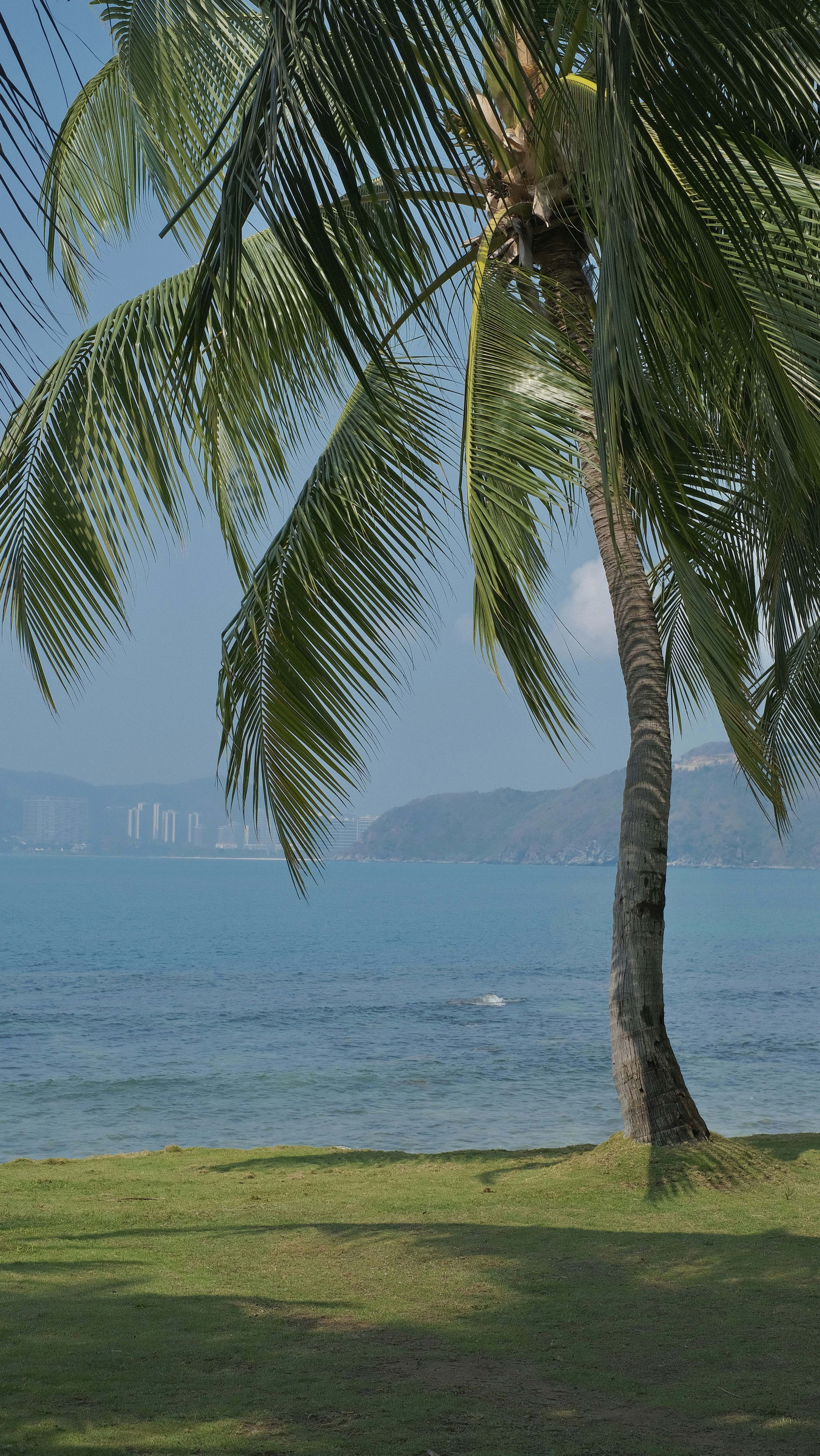 Photo by hanxiaoyaaaaa