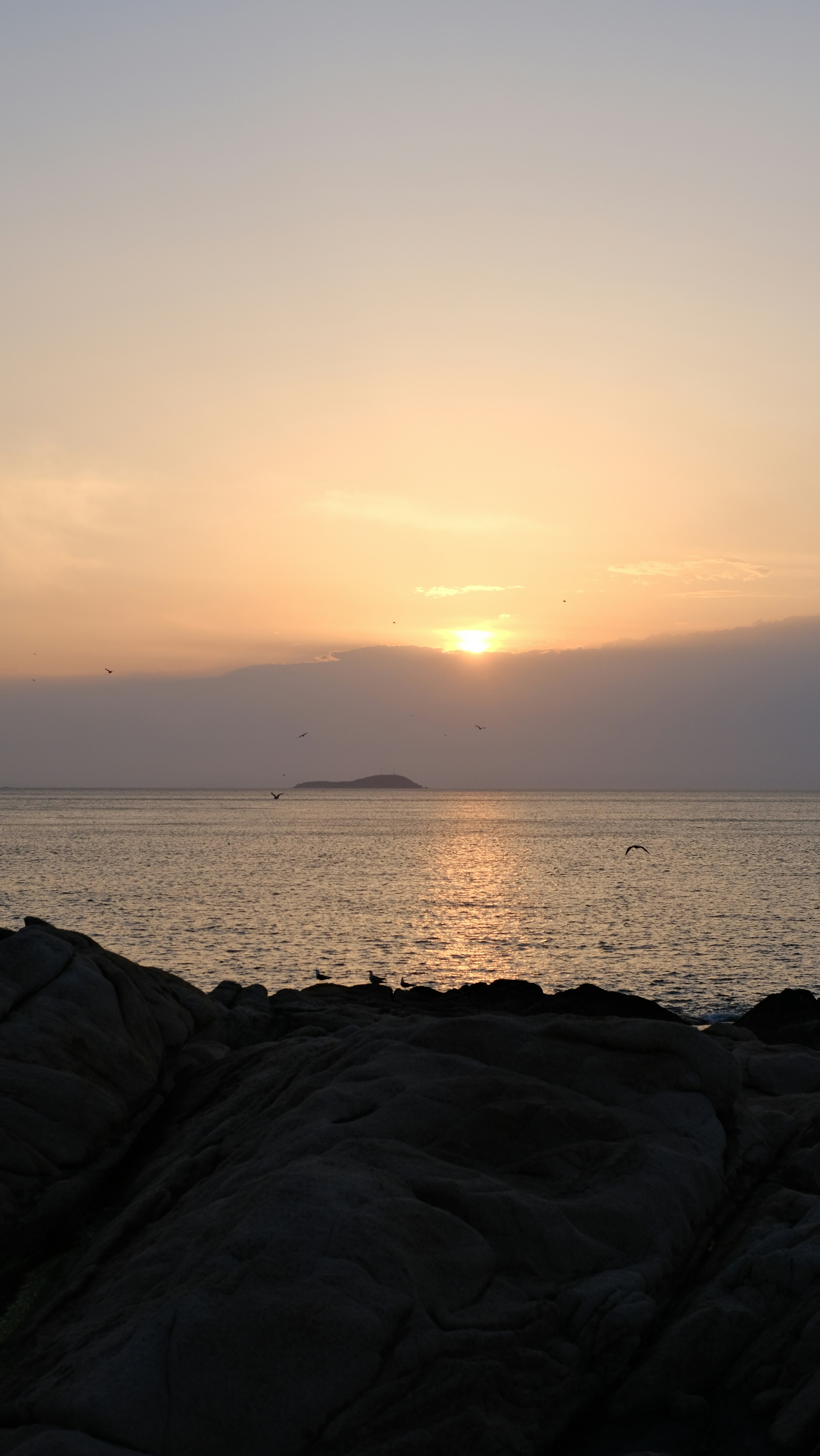 Photo by hanxiaoyaaaaa