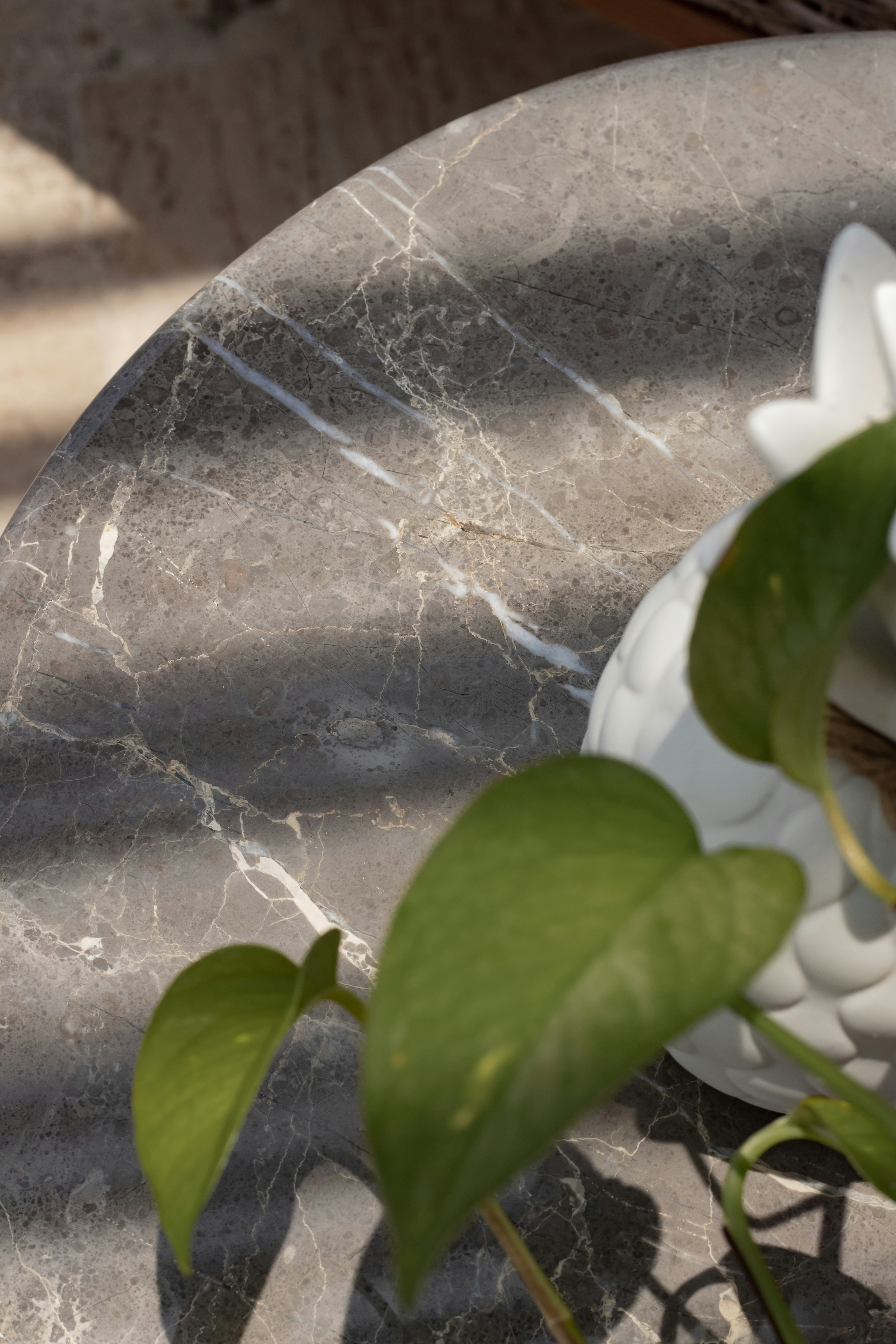 A marble table with a plant on top of it photo – Free Asia Image on ...