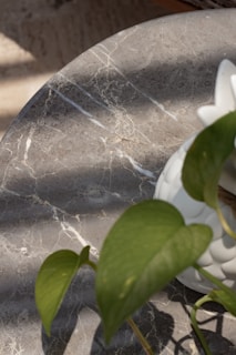 a marble table with a plant on top of it