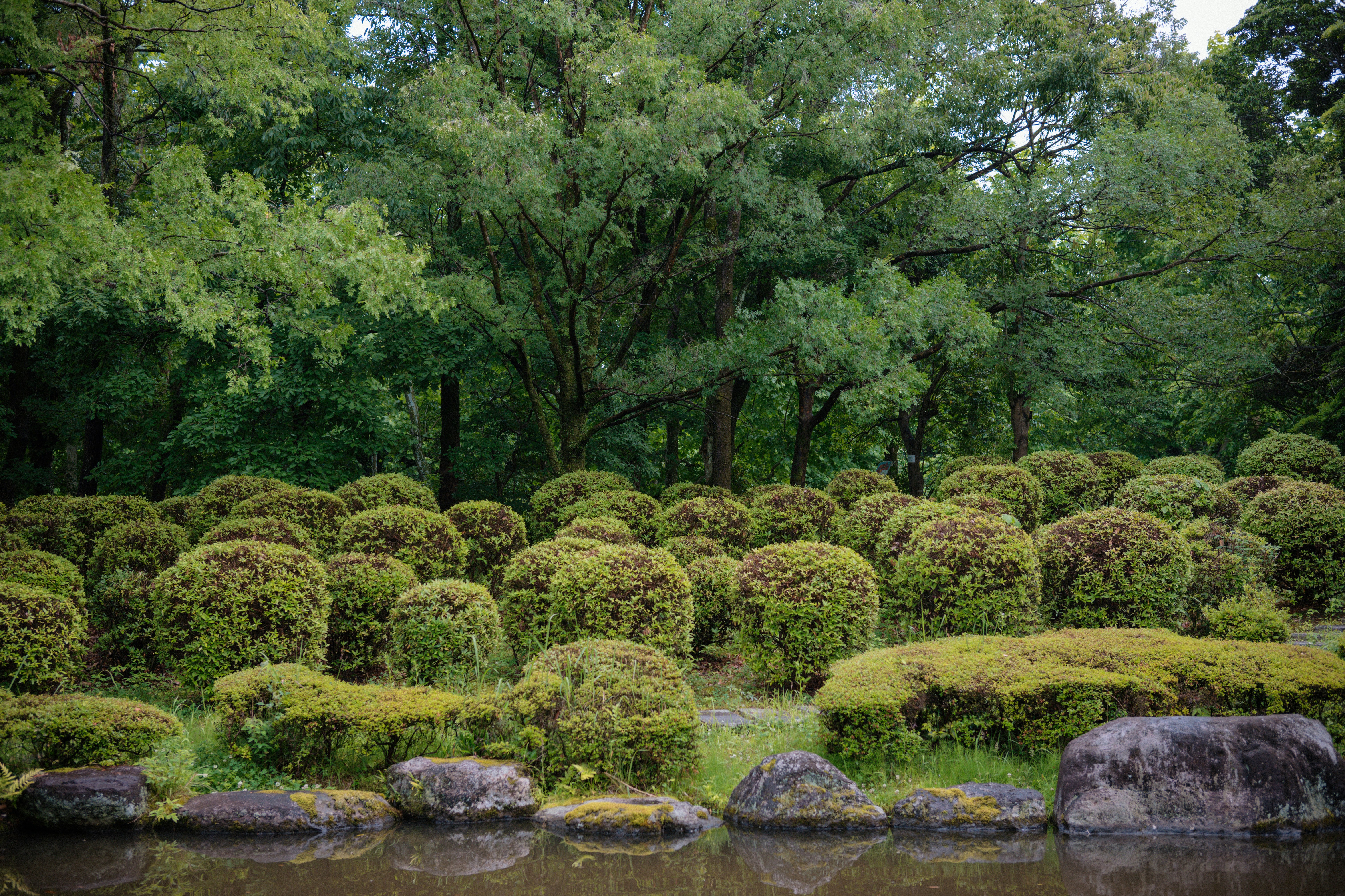 Image by Gavin Li via Unsplash