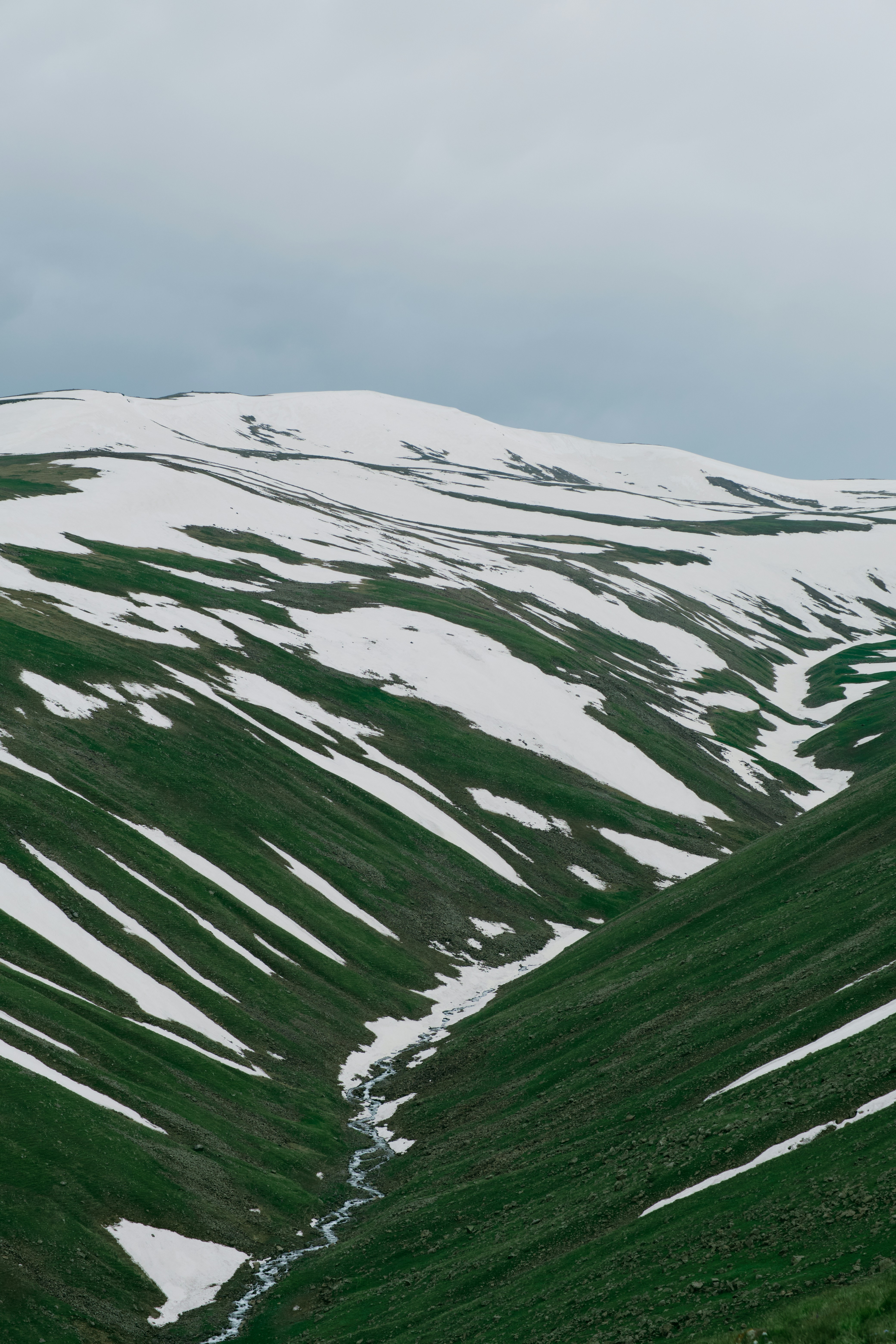 una montagna coperta di neve ed erba verde