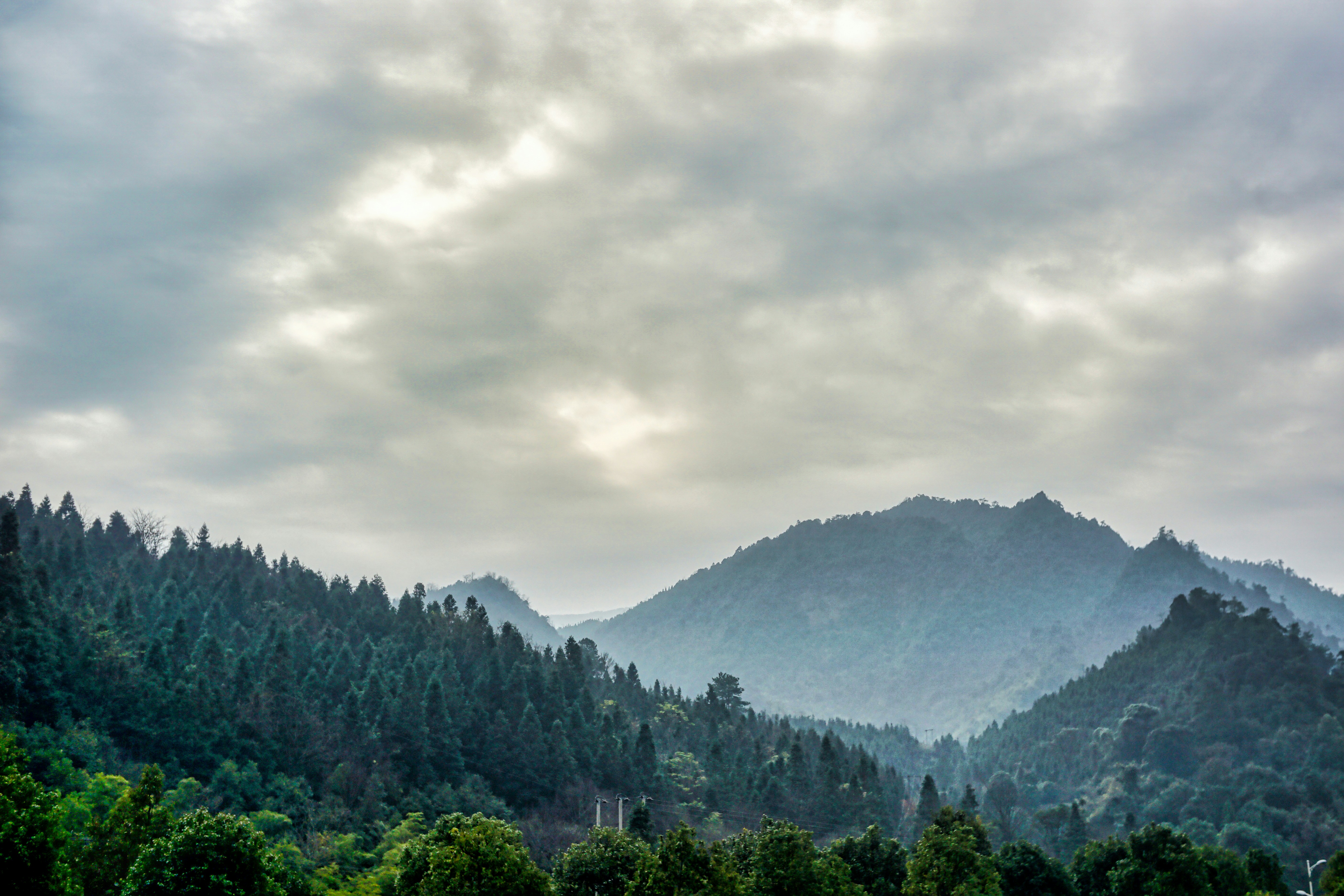 Photo by thomaskinto