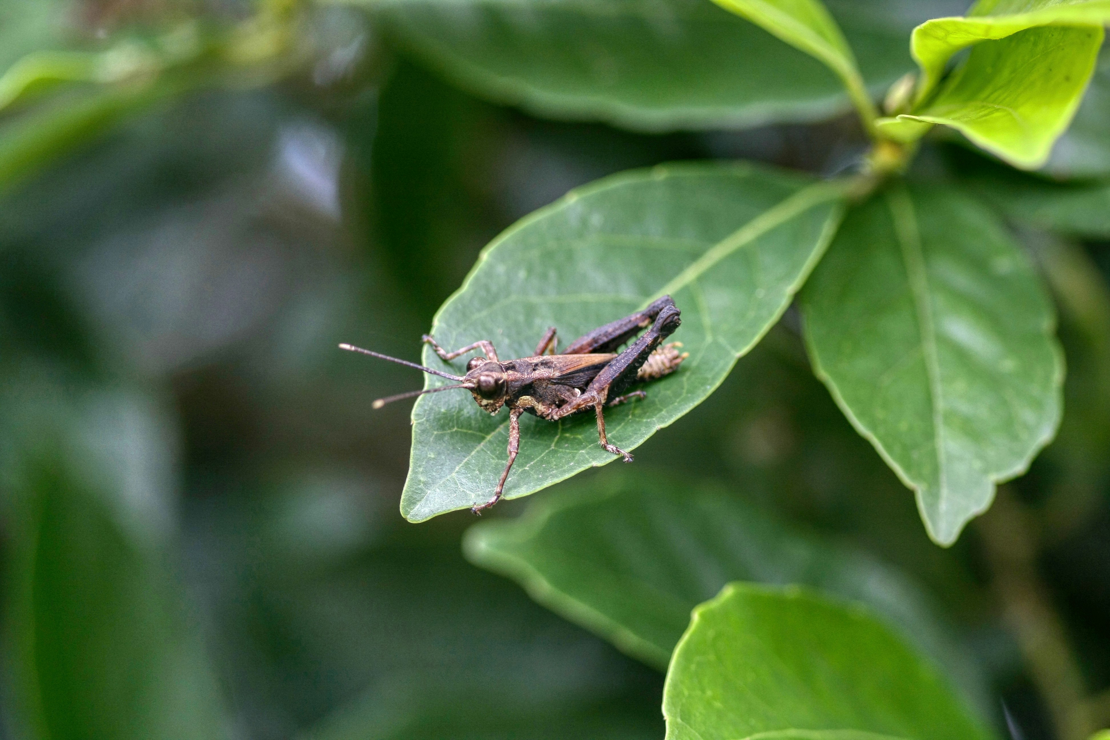 Photo by thomaskinto