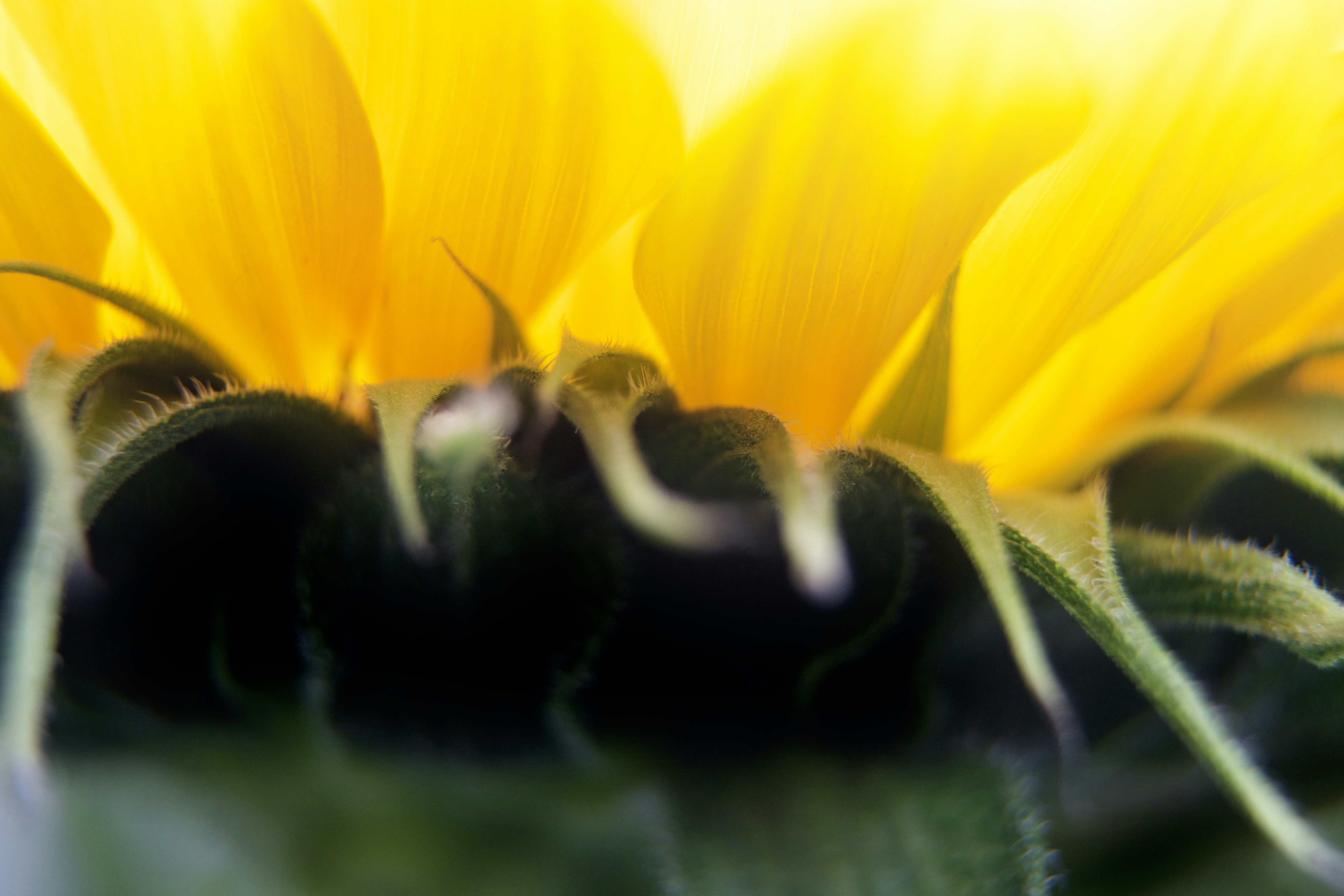 Photo by wouterdepraetere