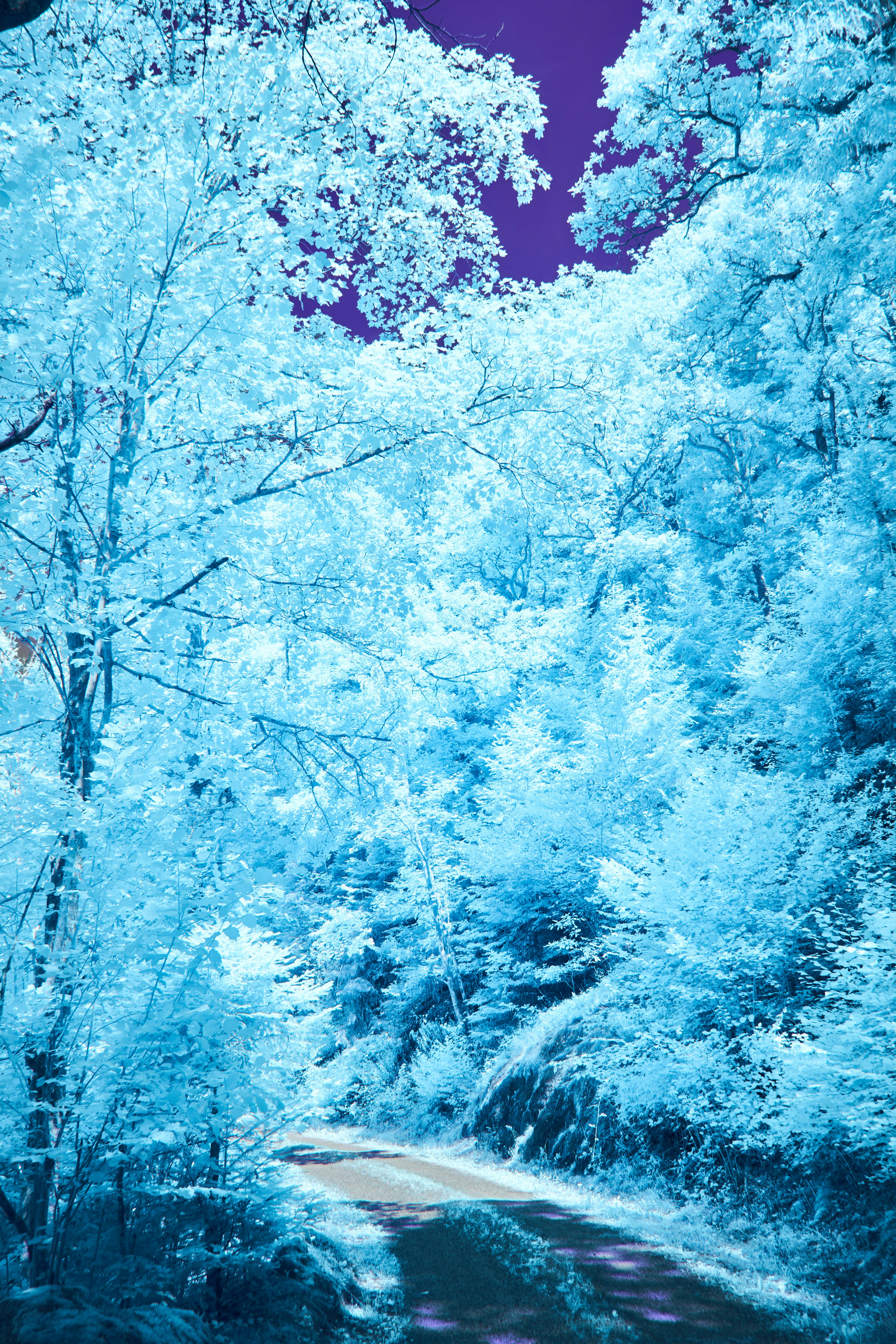 Photo by wolfgang_hasselmann