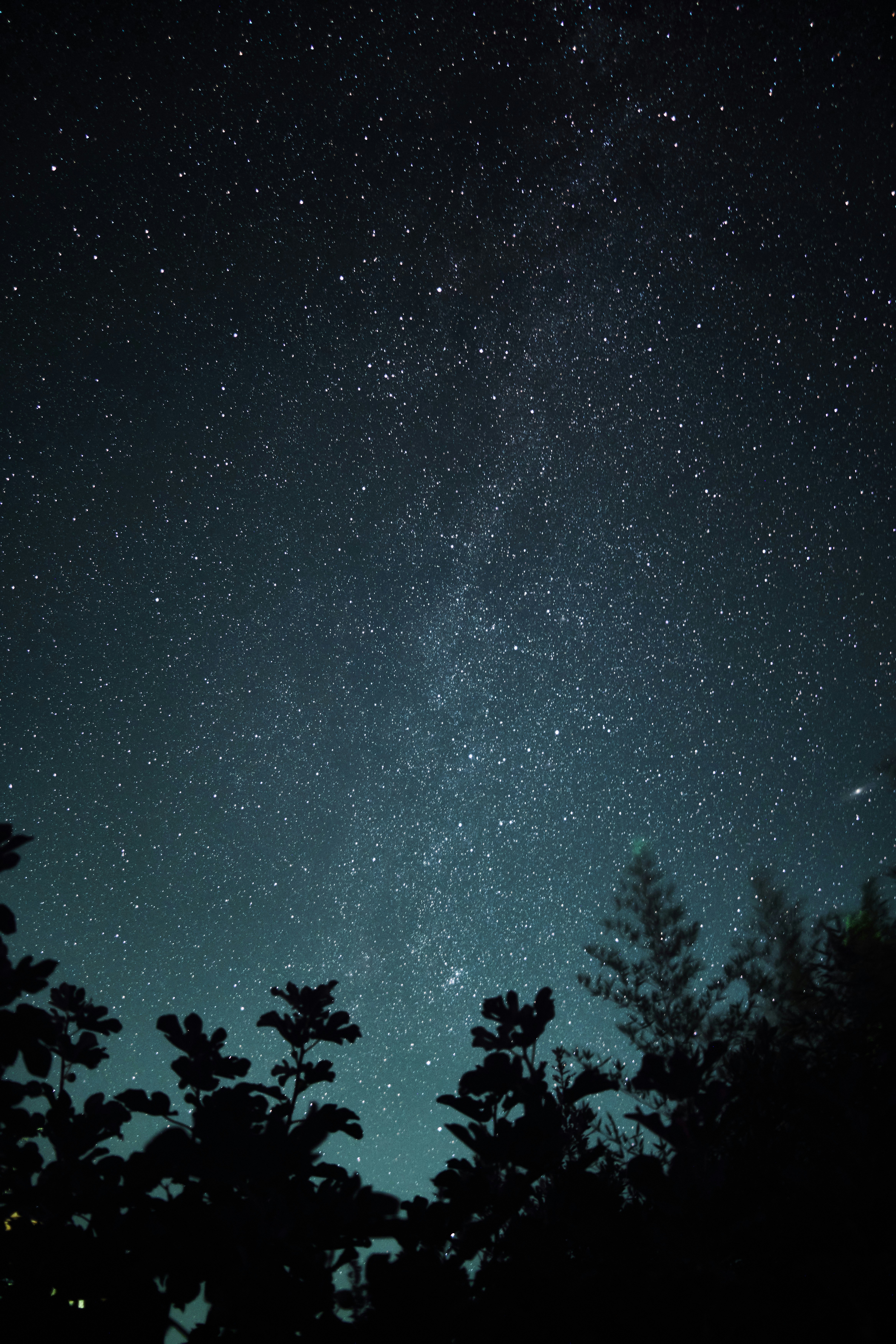 Photo by wolfgang_hasselmann