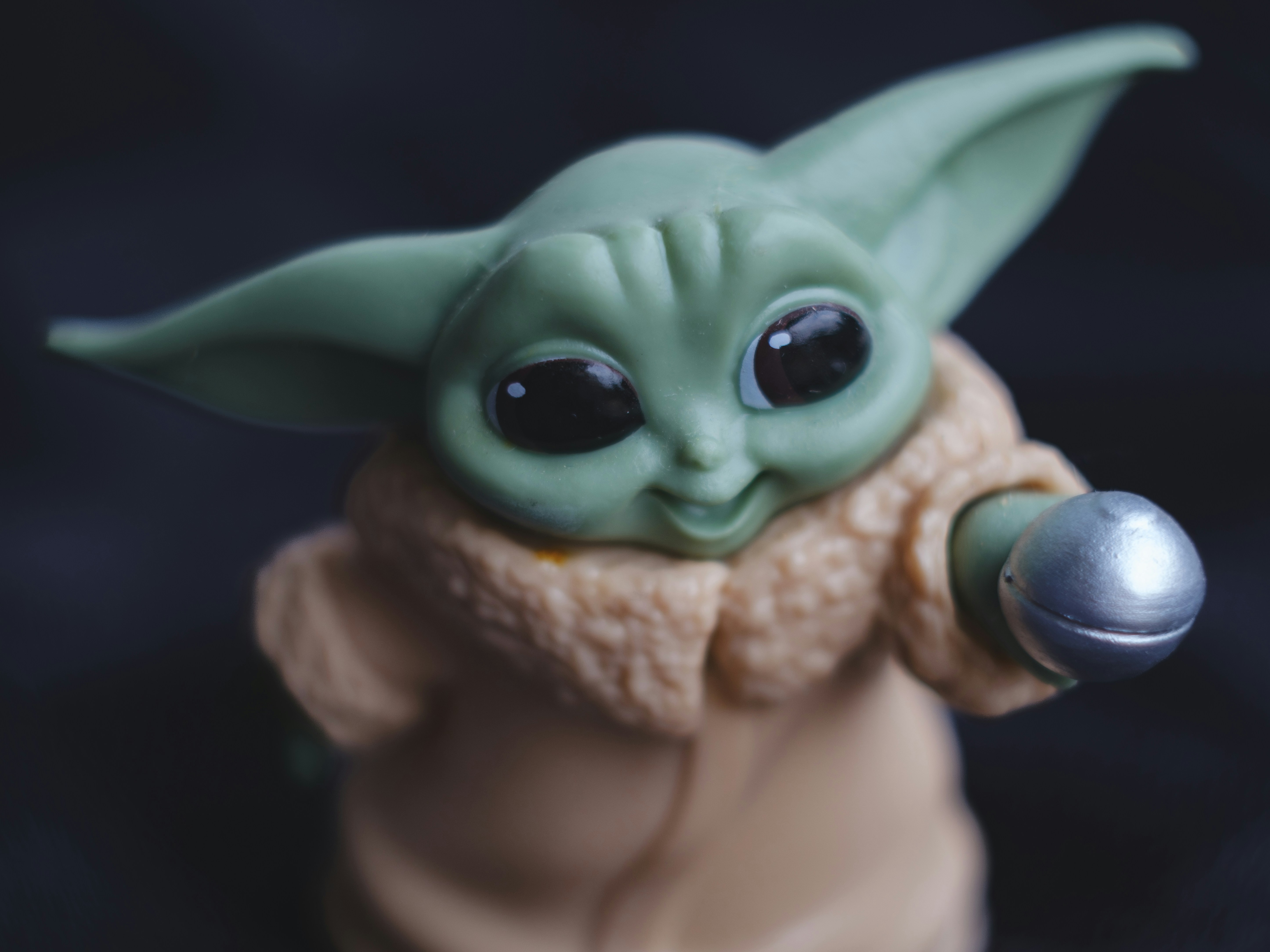 Photo by haberdoedas2