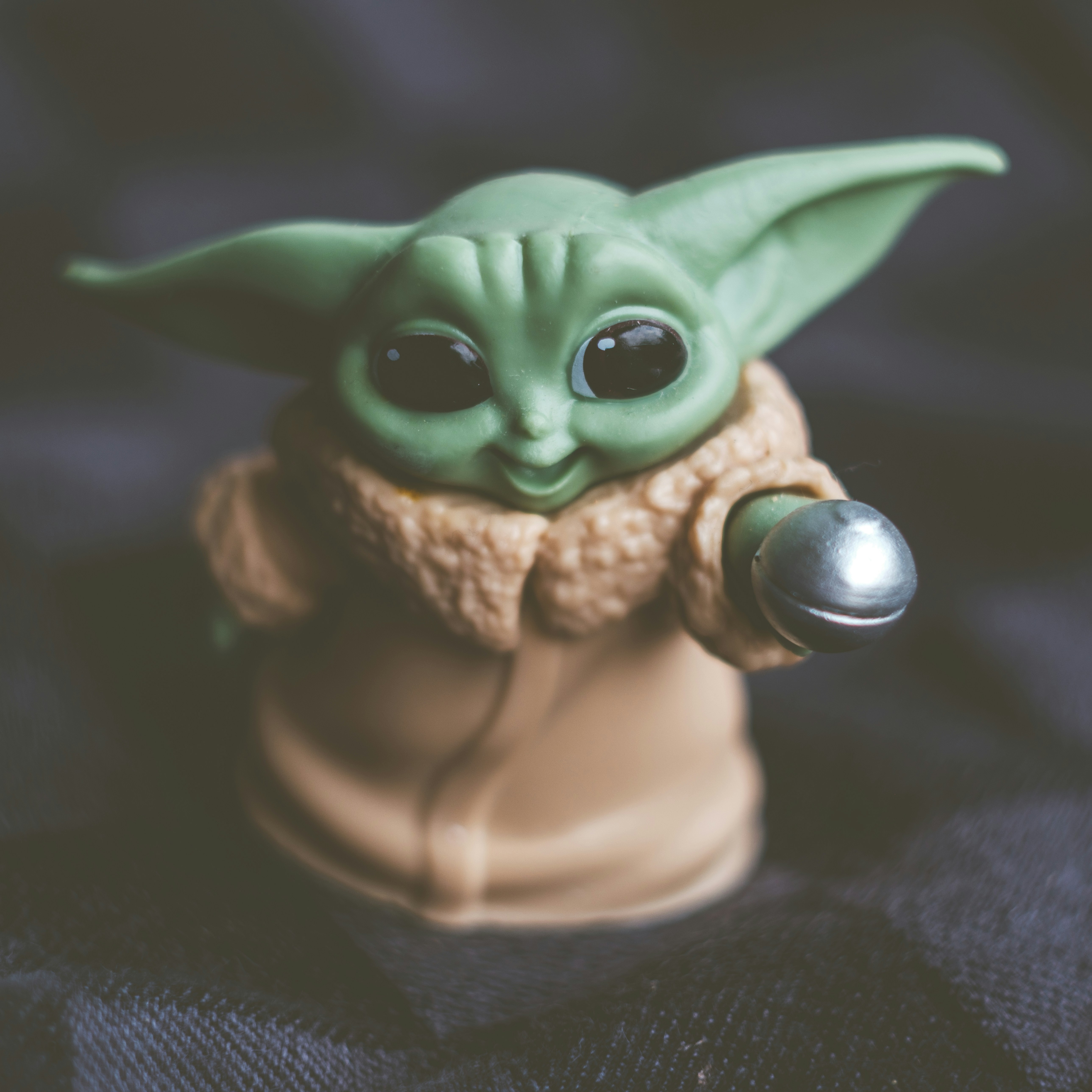 Photo by haberdoedas2