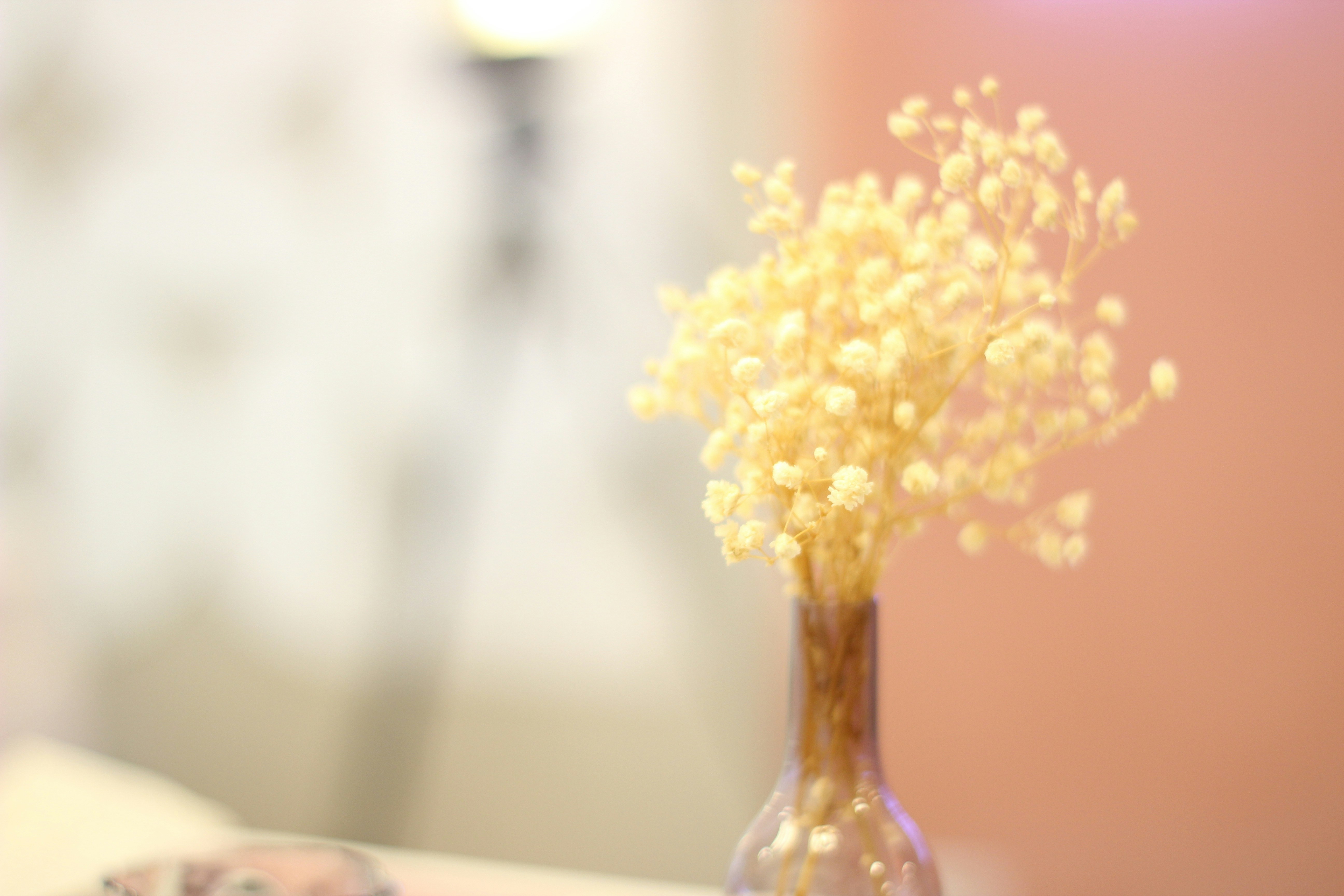 un piccolo vaso pieno di fiori gialli su un tavolo