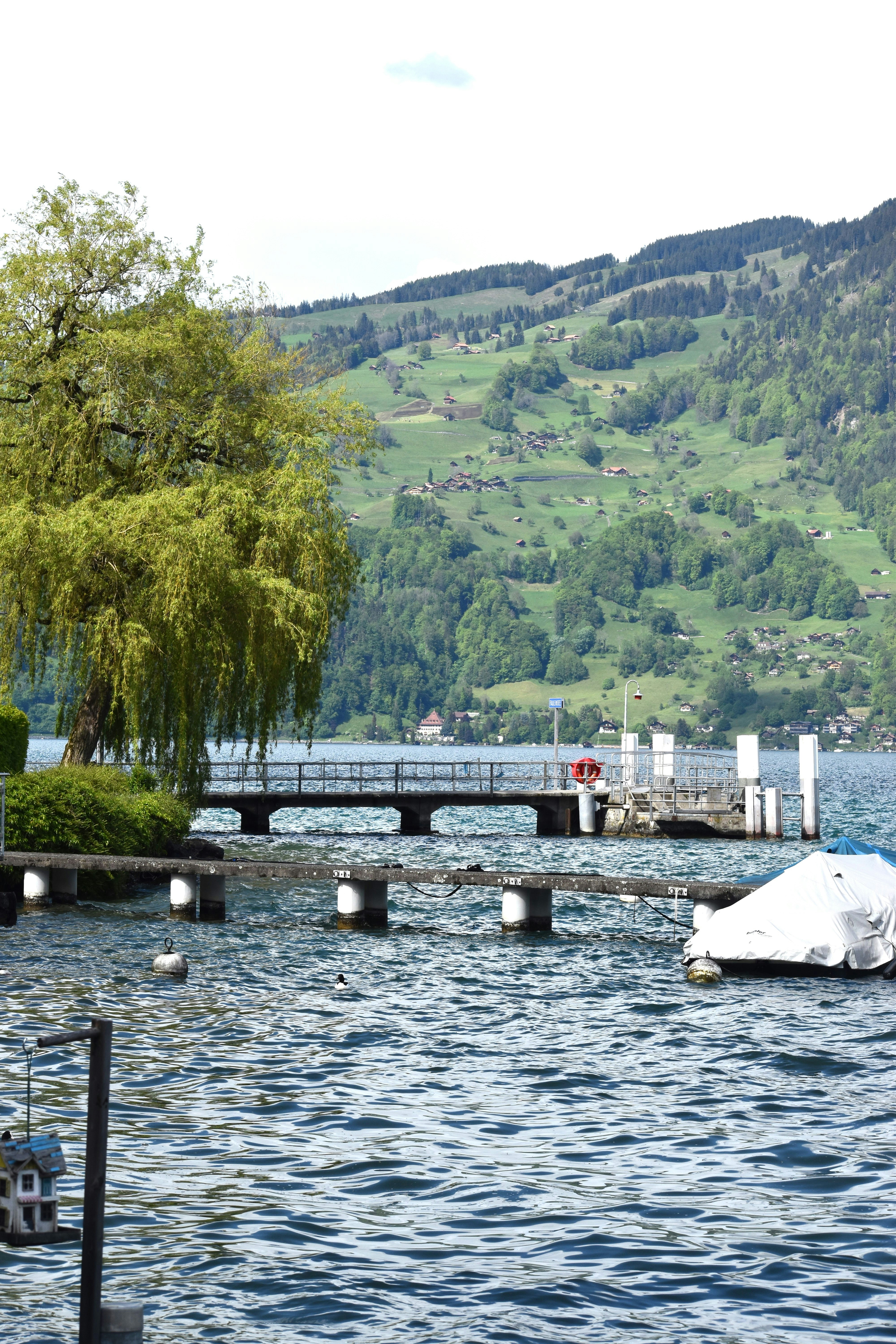 mountain windy landscape, wallpaper, Camping in Wind: Essential Tips for Exposed Areas 2