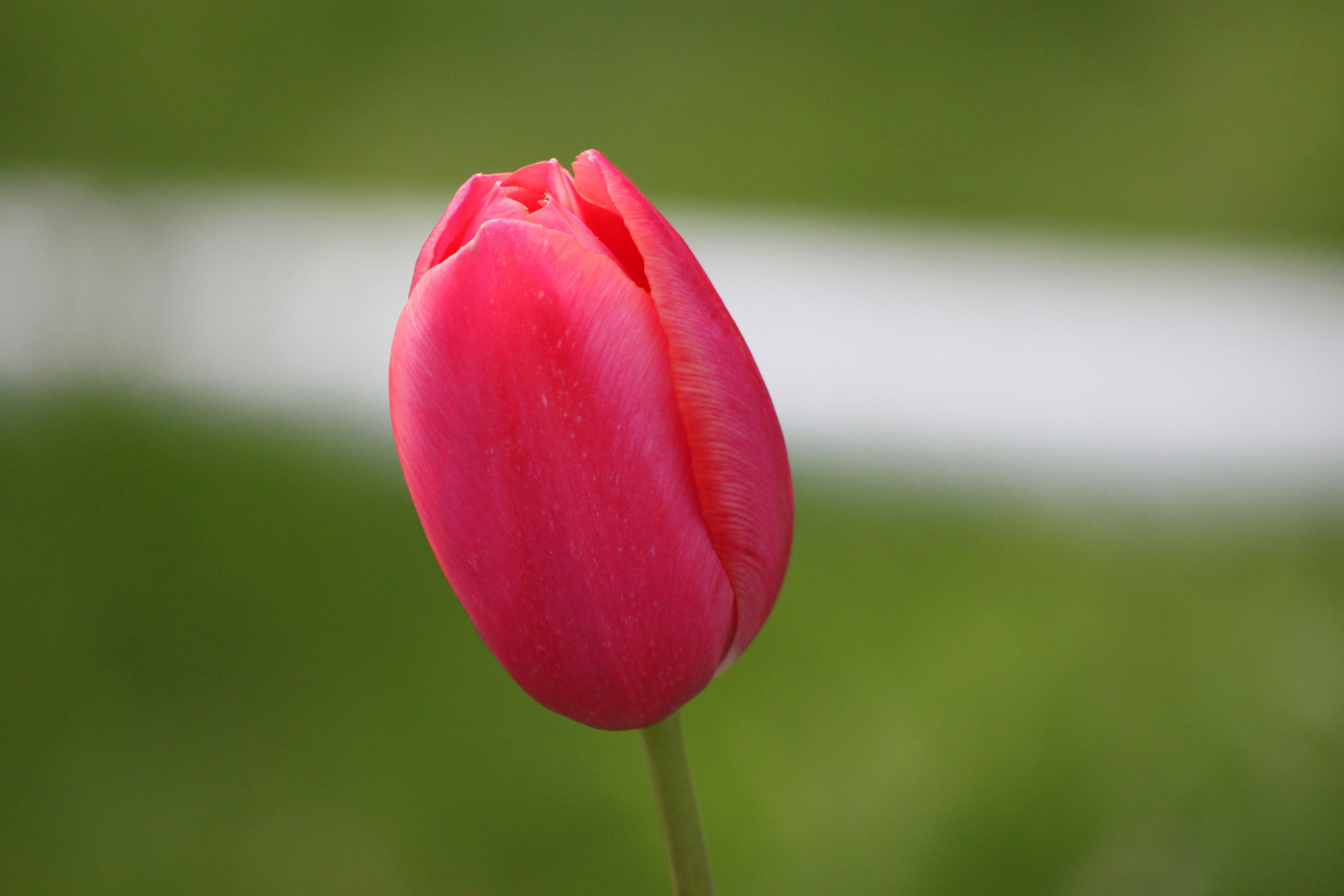 Photo by rubyphotography