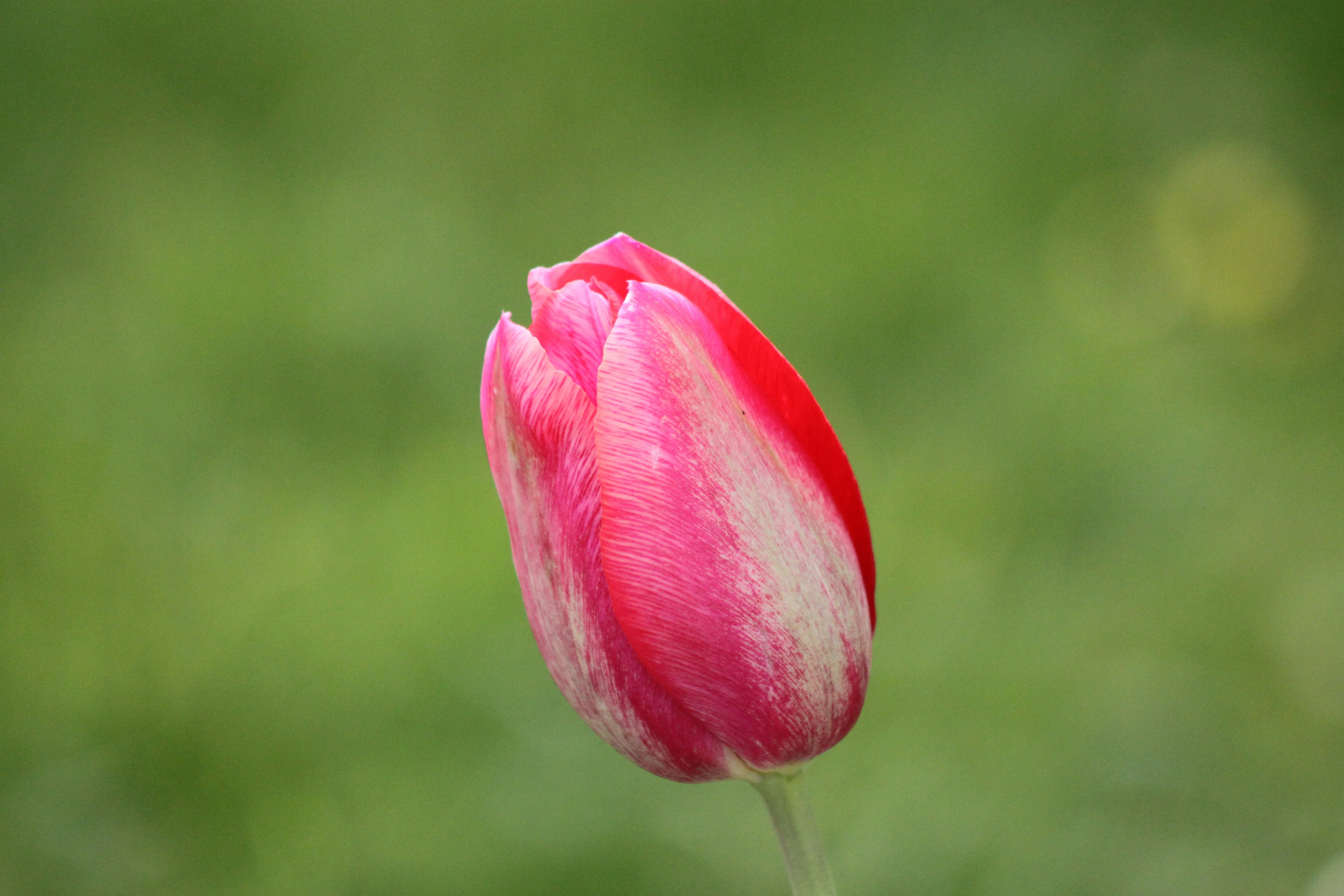 Photo by rubyphotography