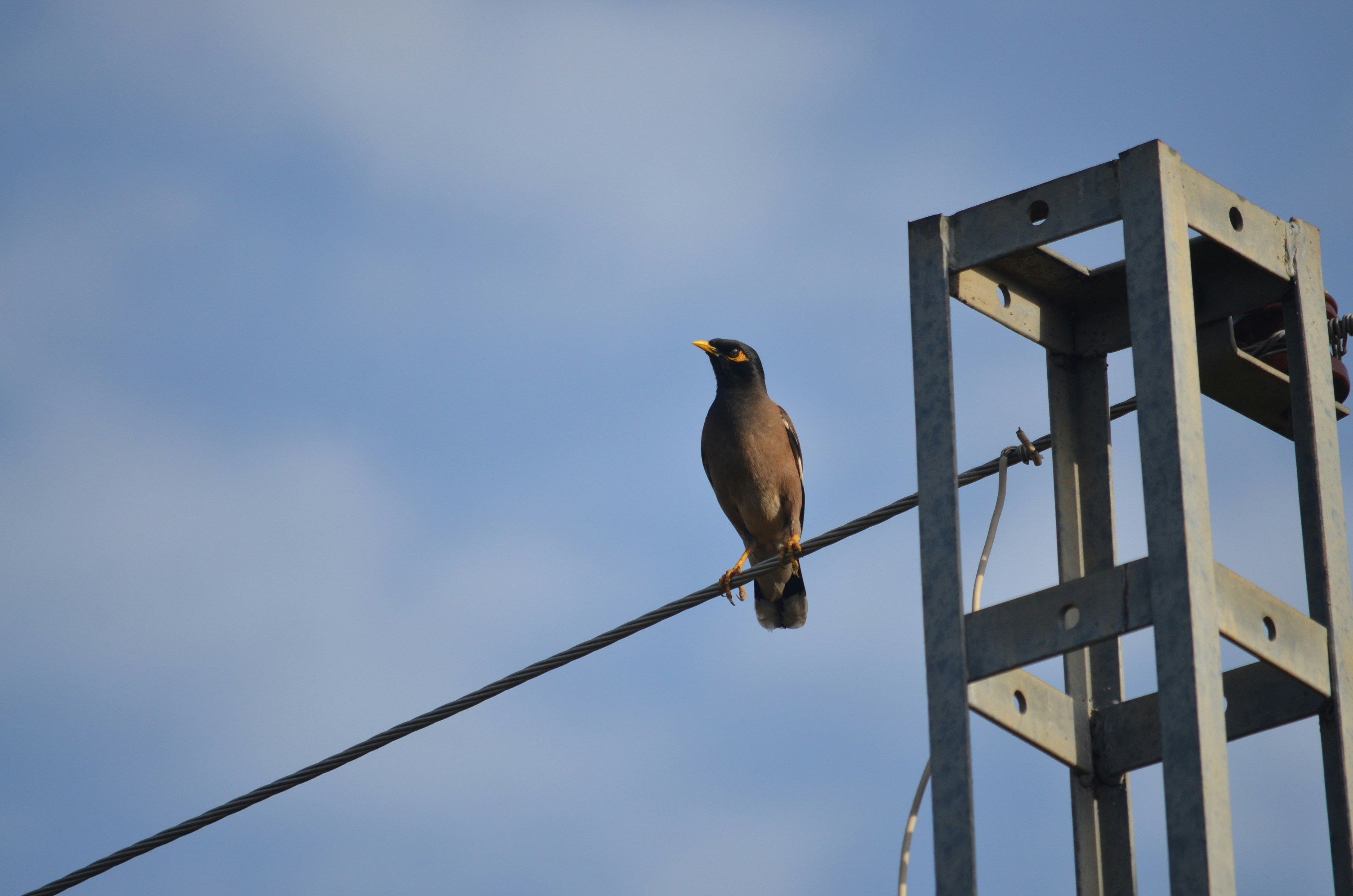 Photo by nabeelkiani