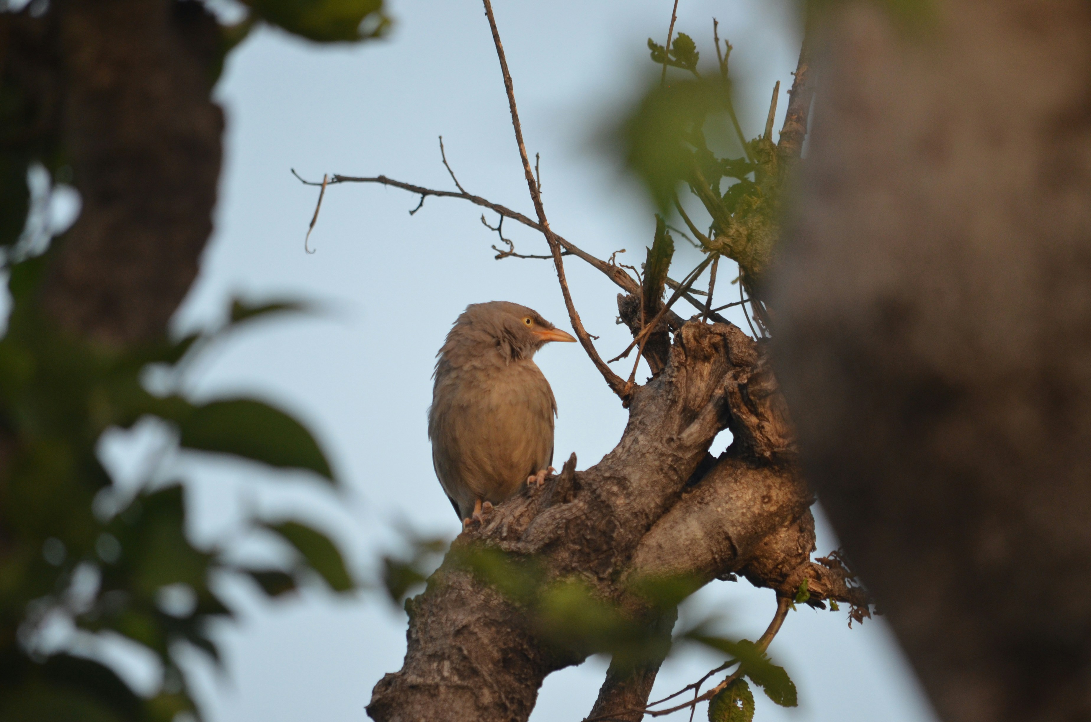 Photo by nabeelkiani