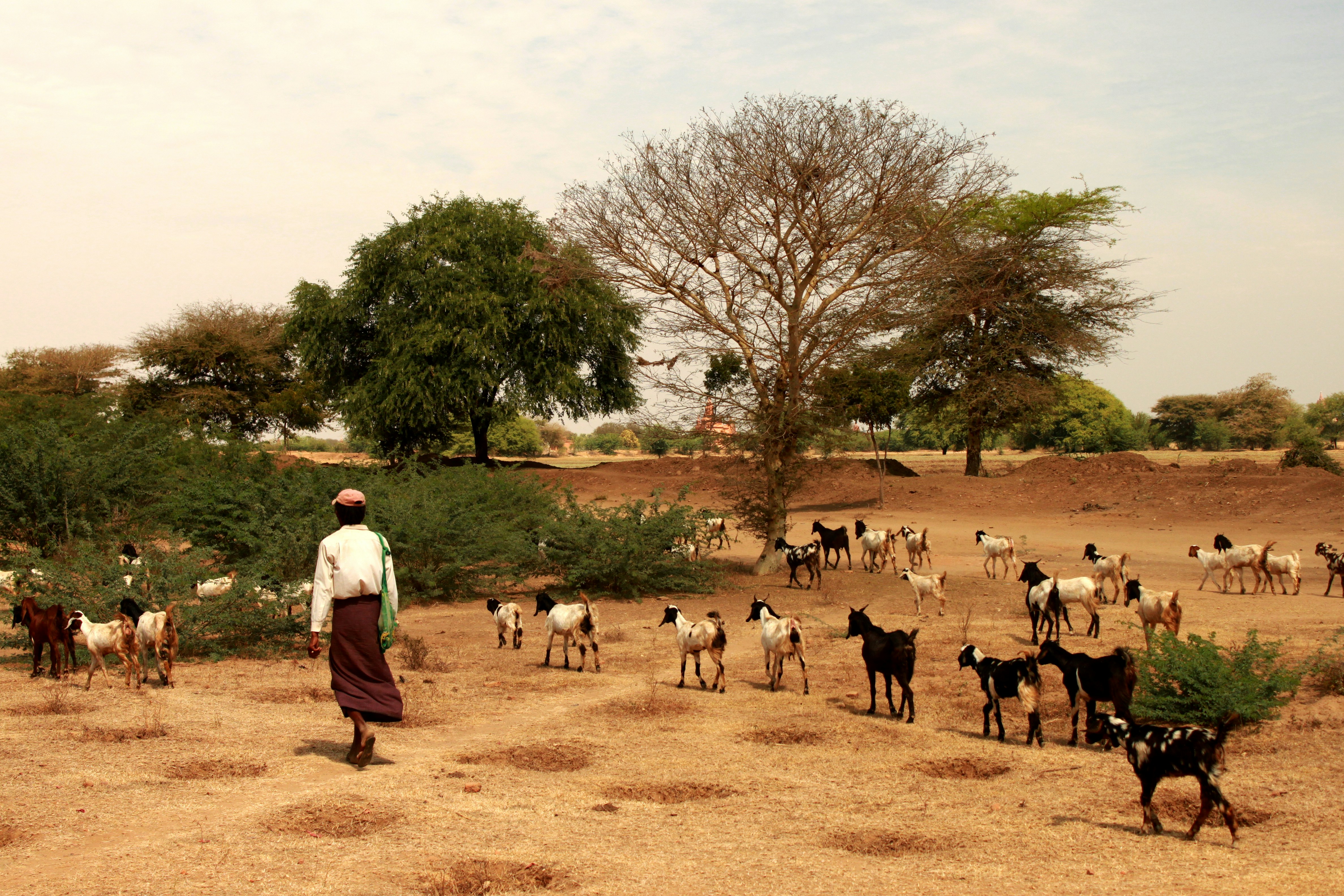 Photo by miguelbaixauli