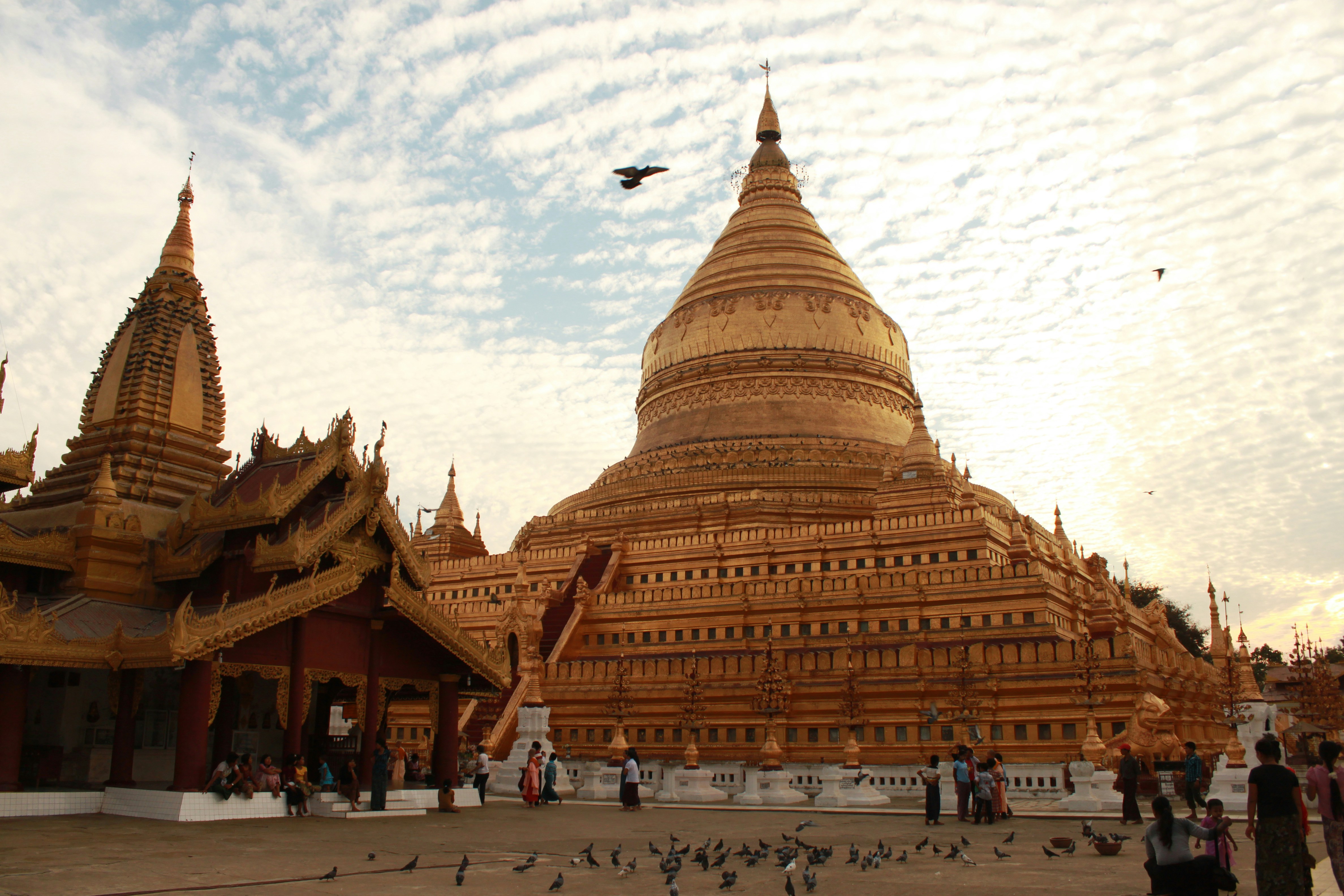 Photo by miguelbaixauli