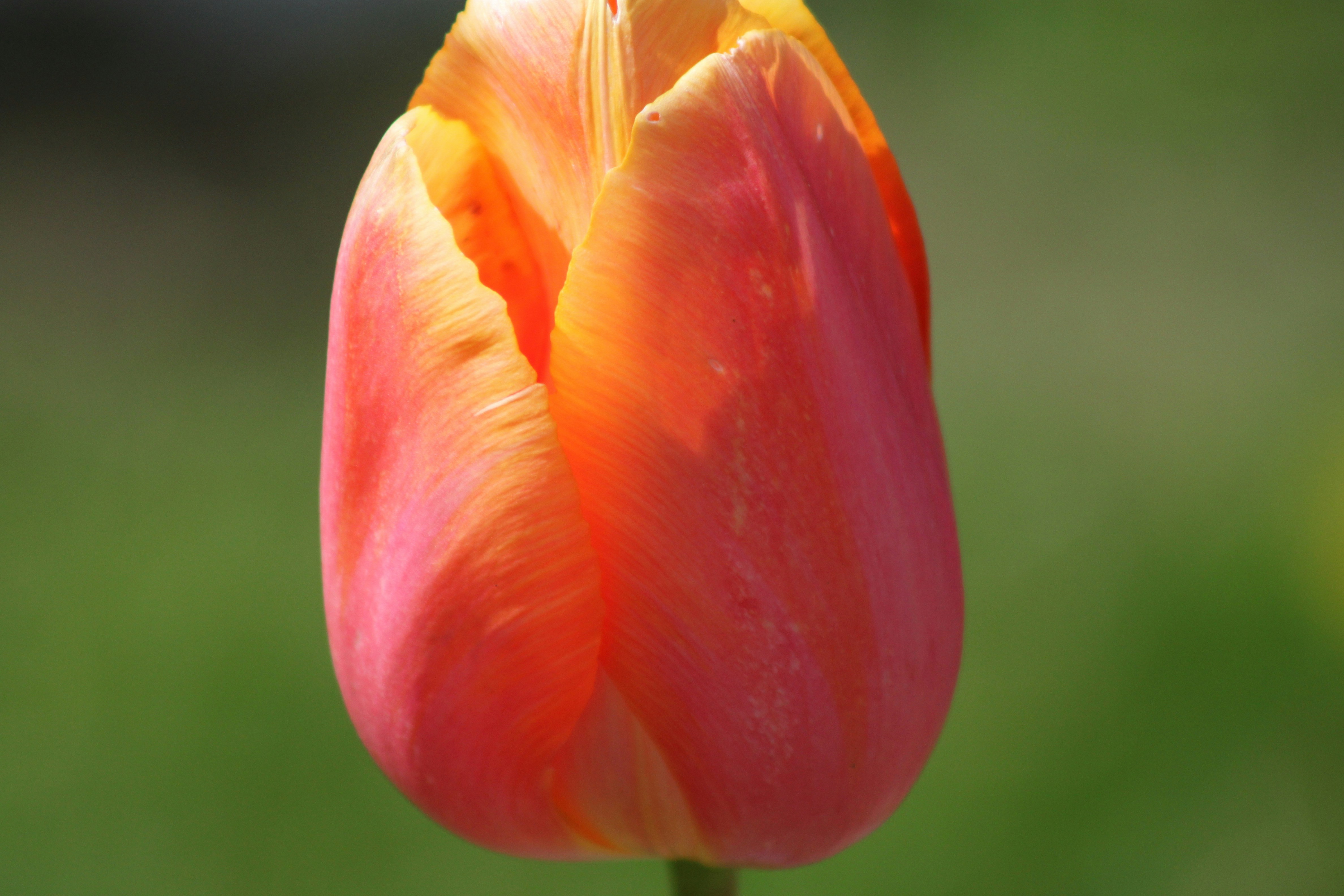 Photo by rubyphotography