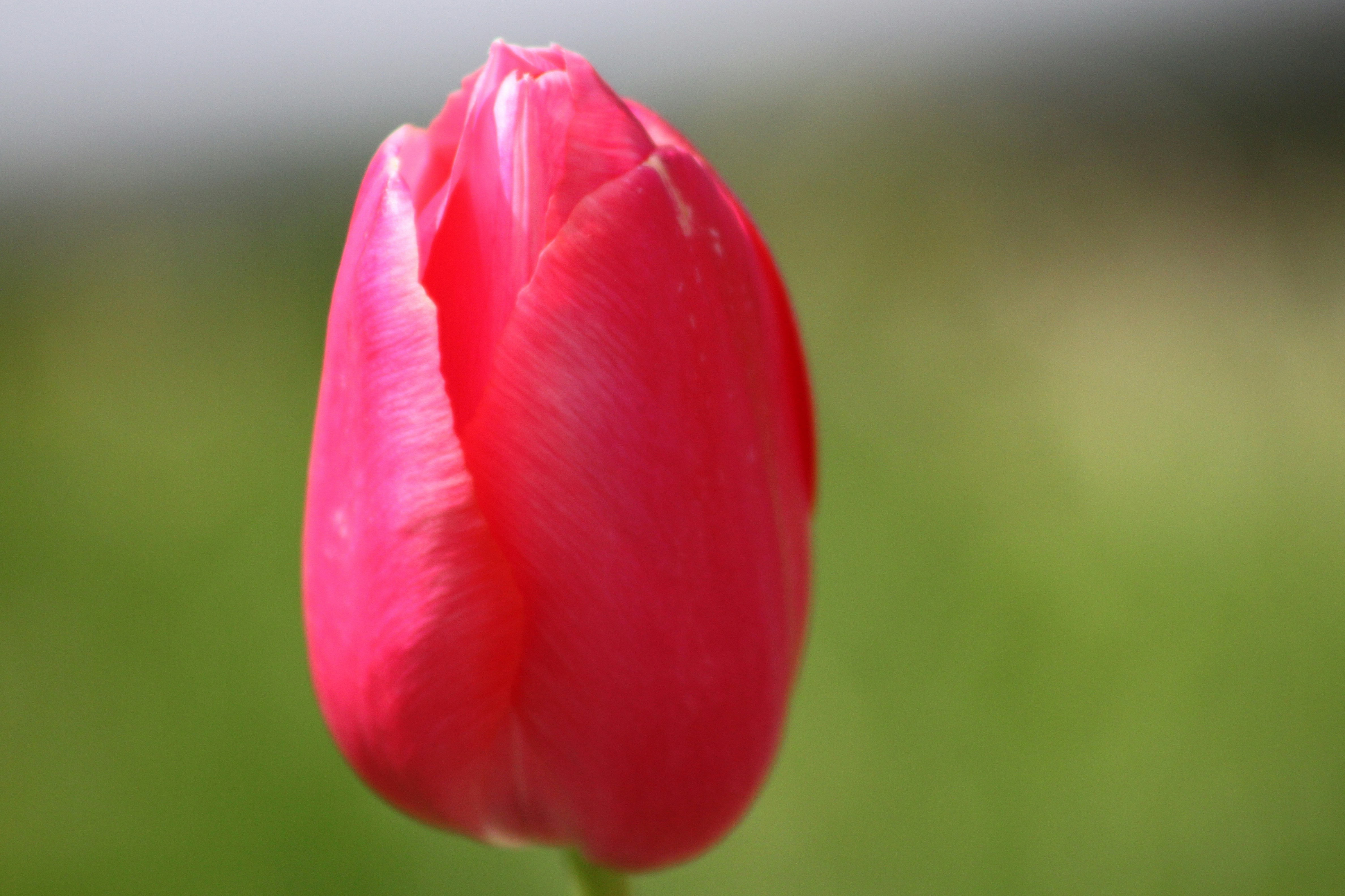 Photo by rubyphotography