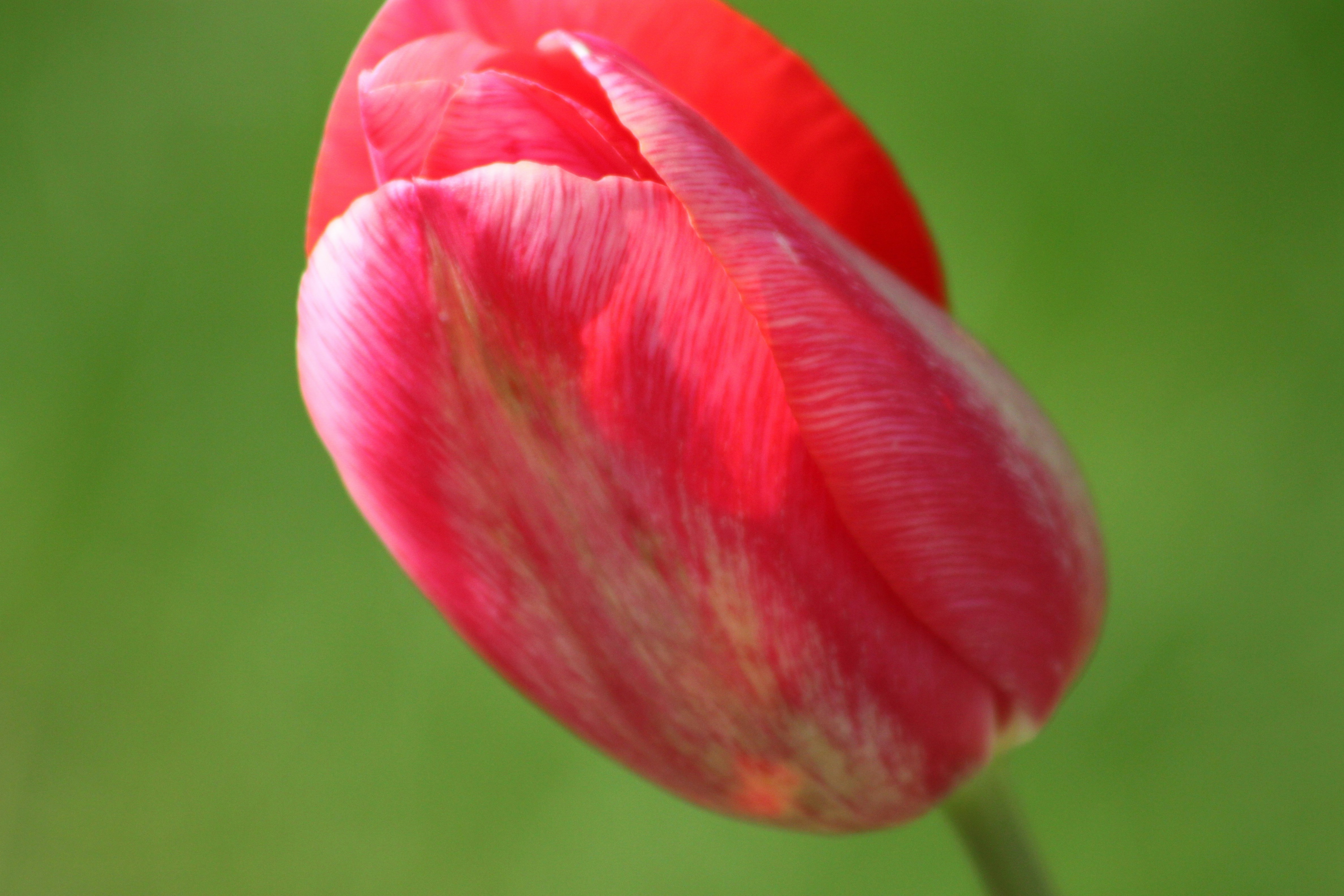 Photo by rubyphotography