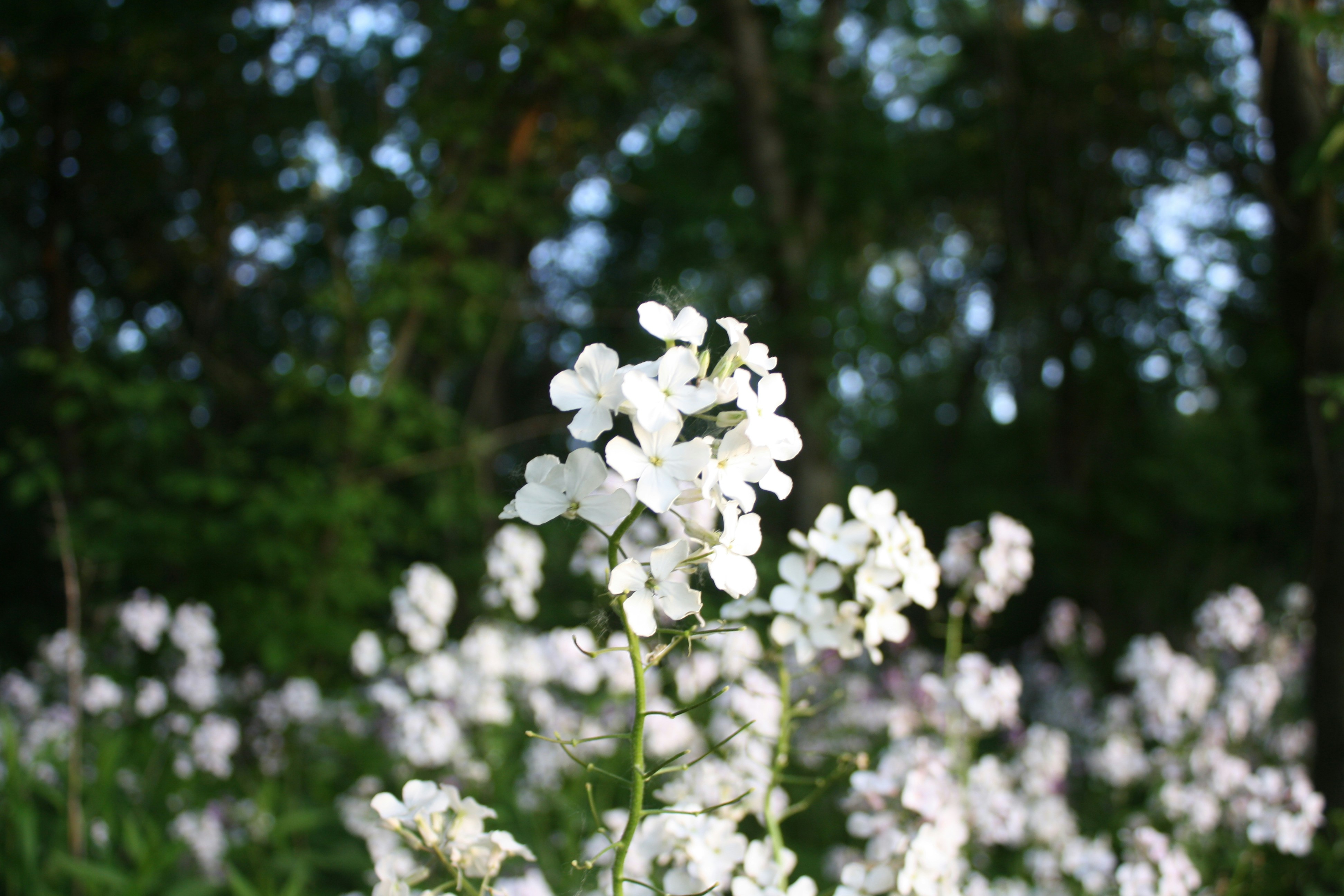 Photo by theartsy_waterlily