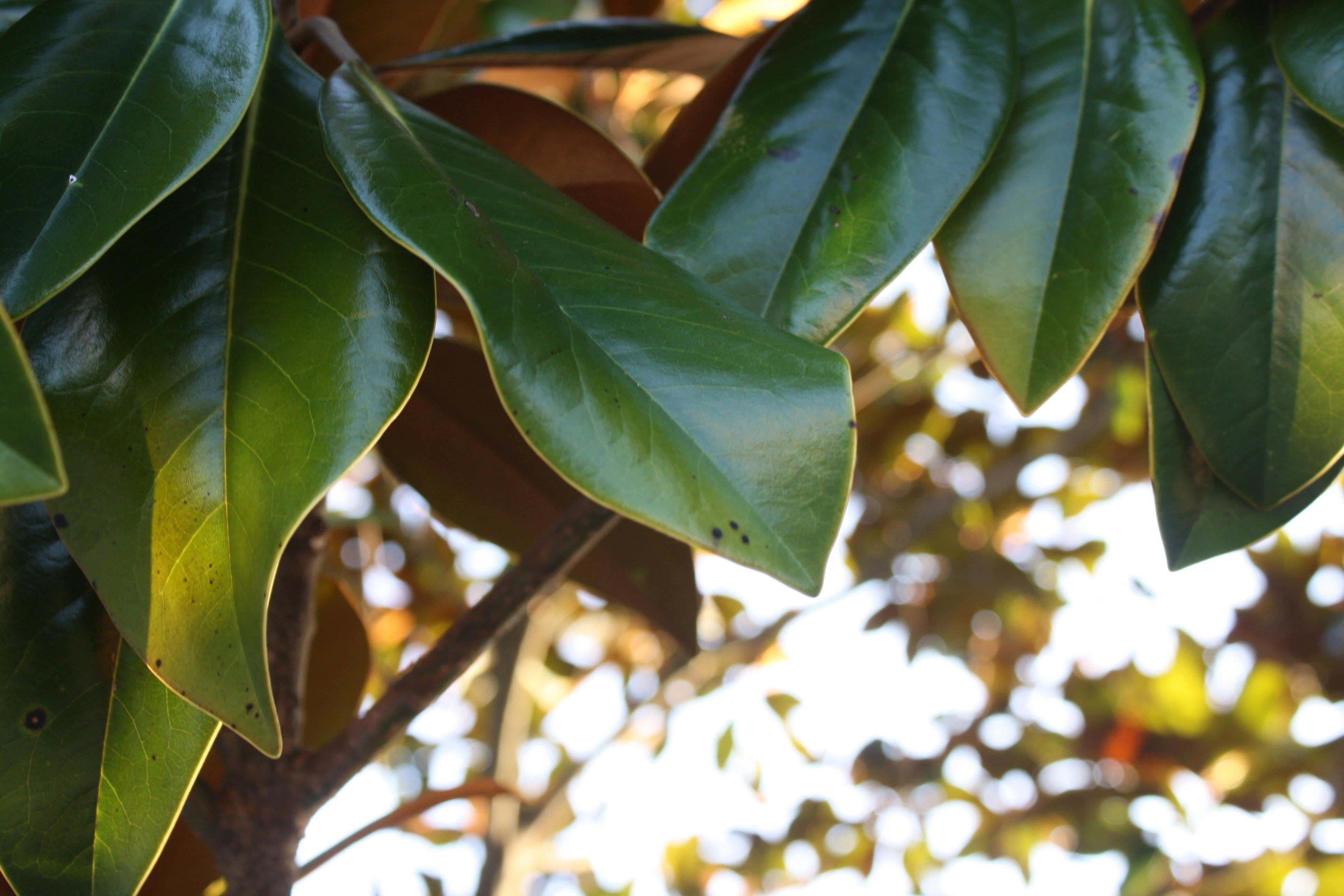 Photo by theartsy_waterlily