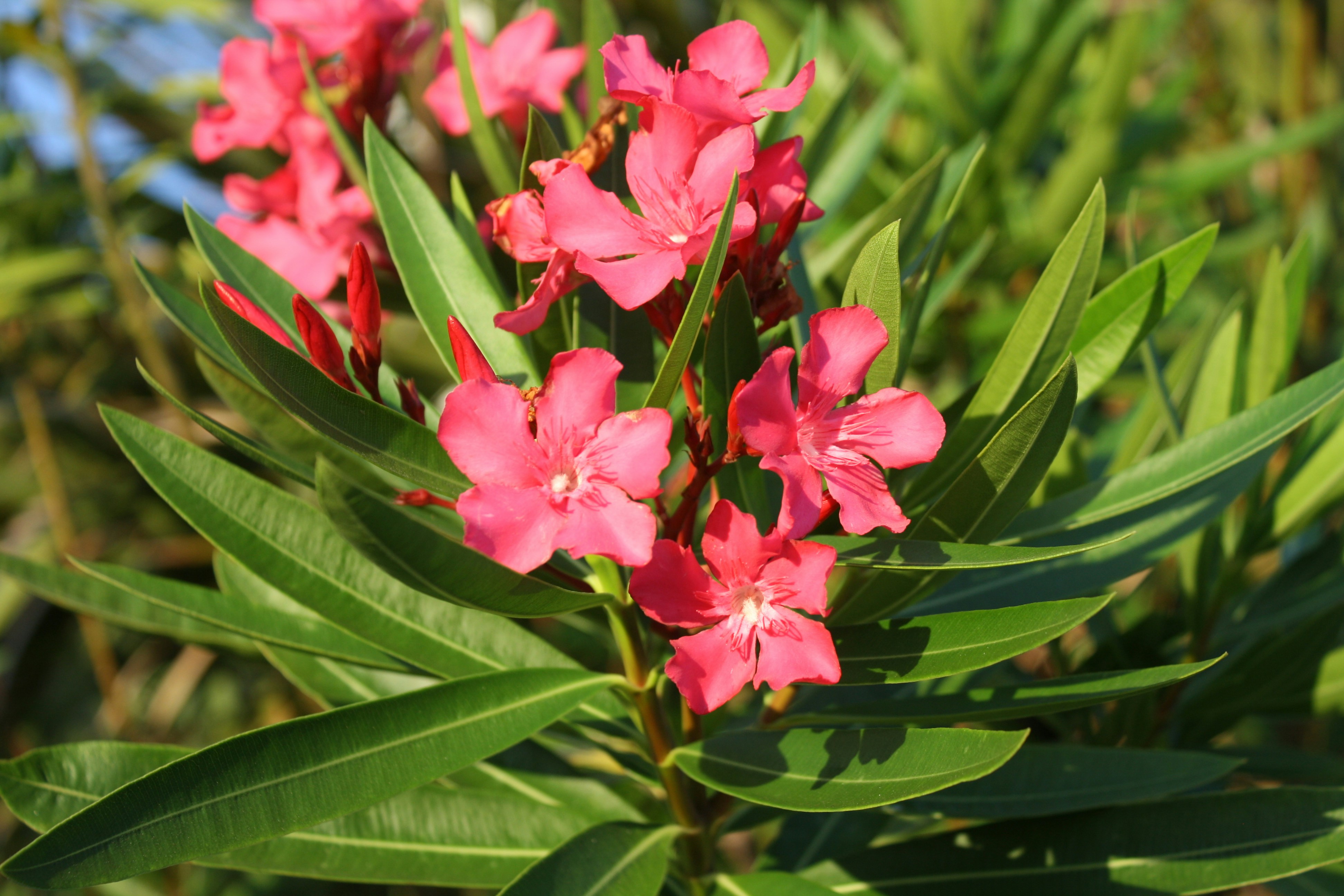 Photo by theartsy_waterlily