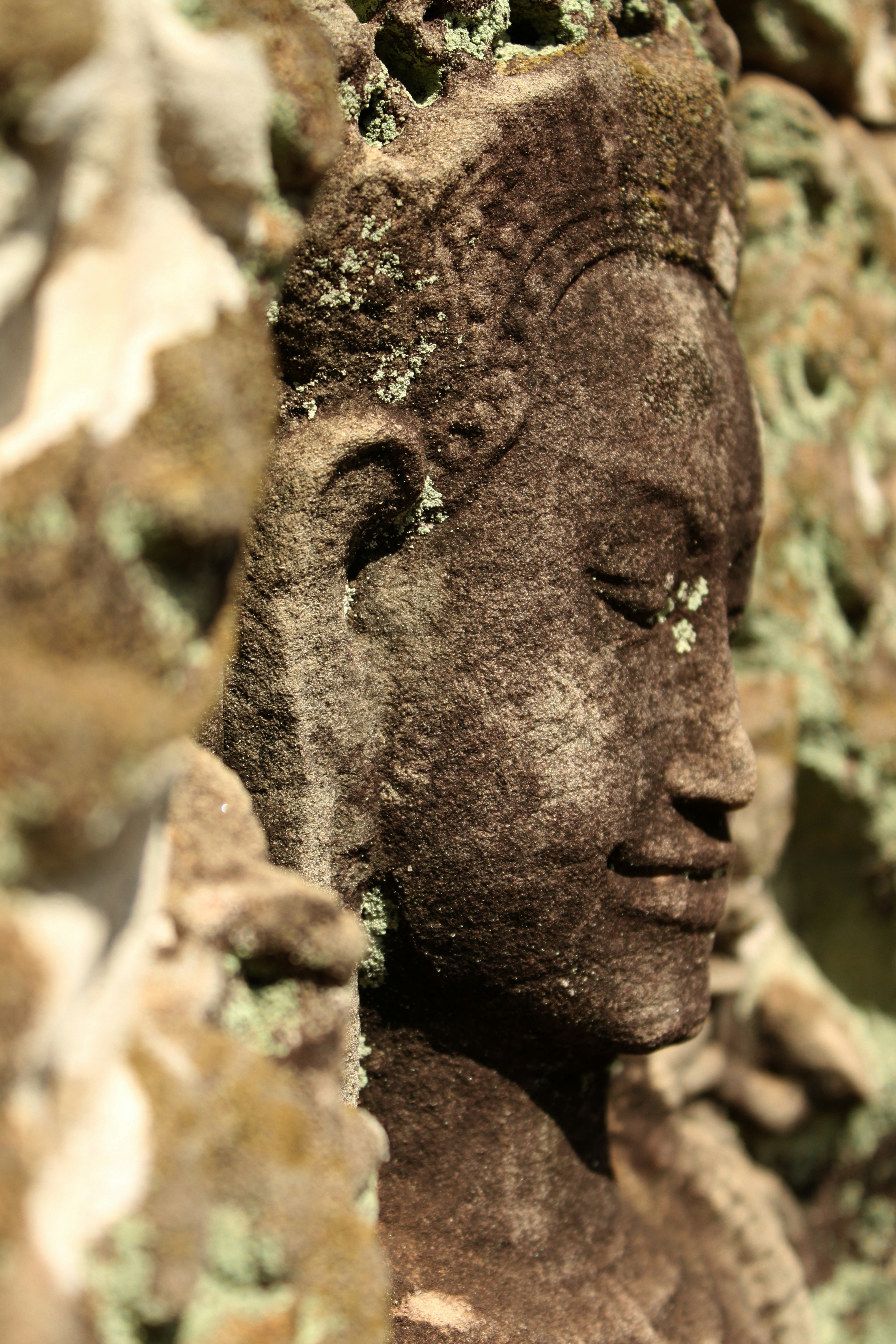 Photo by miguelbaixauli