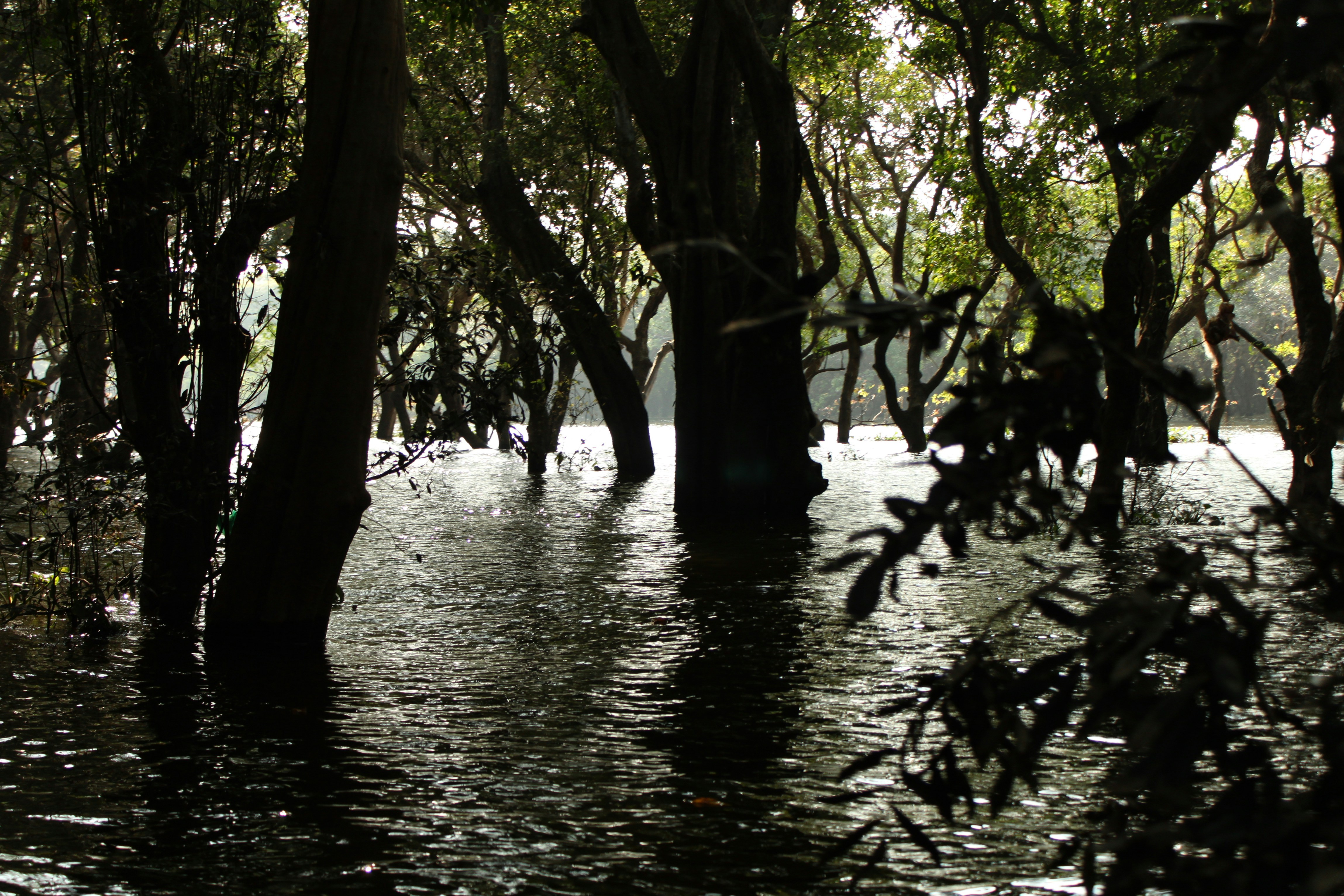 Photo by miguelbaixauli