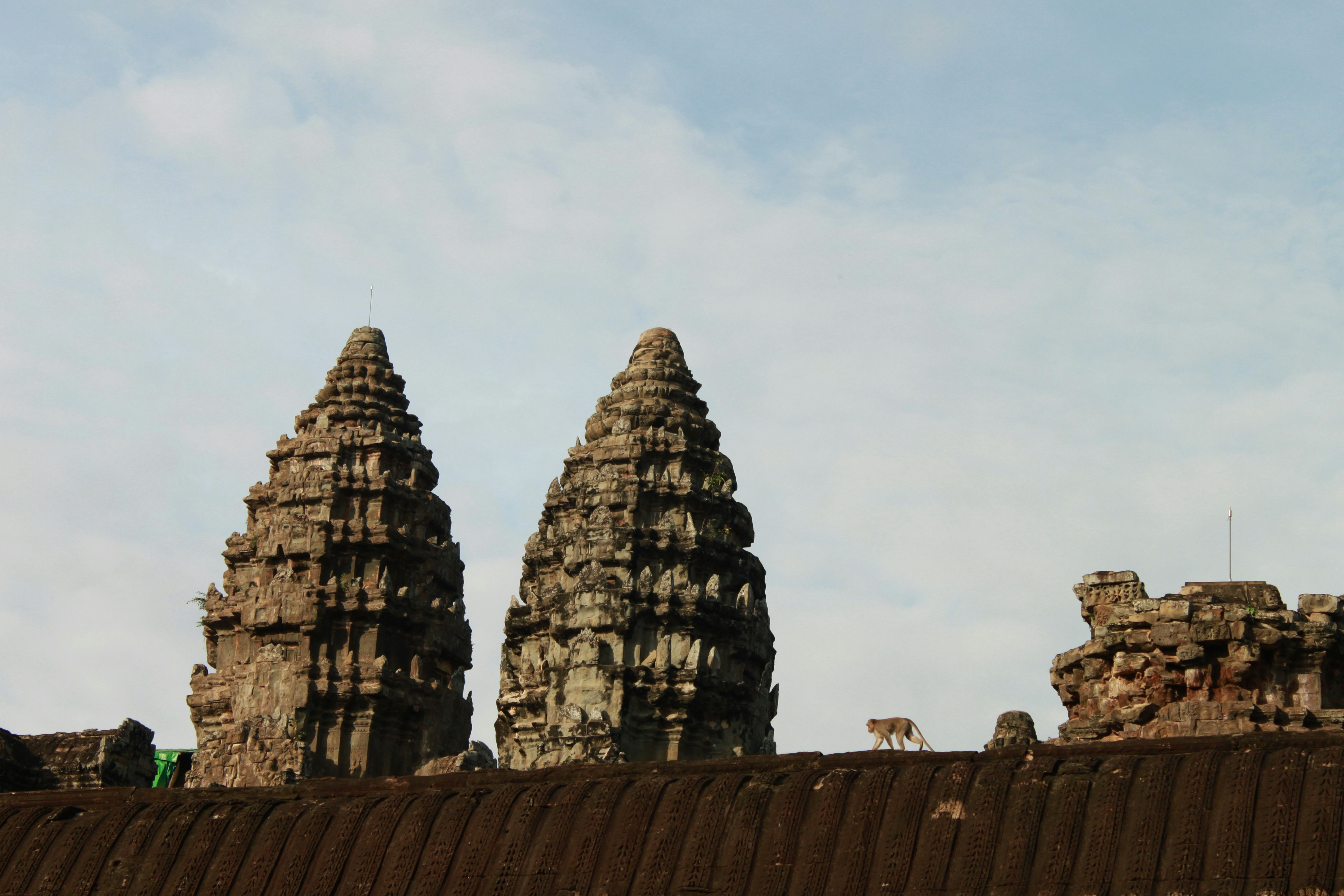 Photo by miguelbaixauli