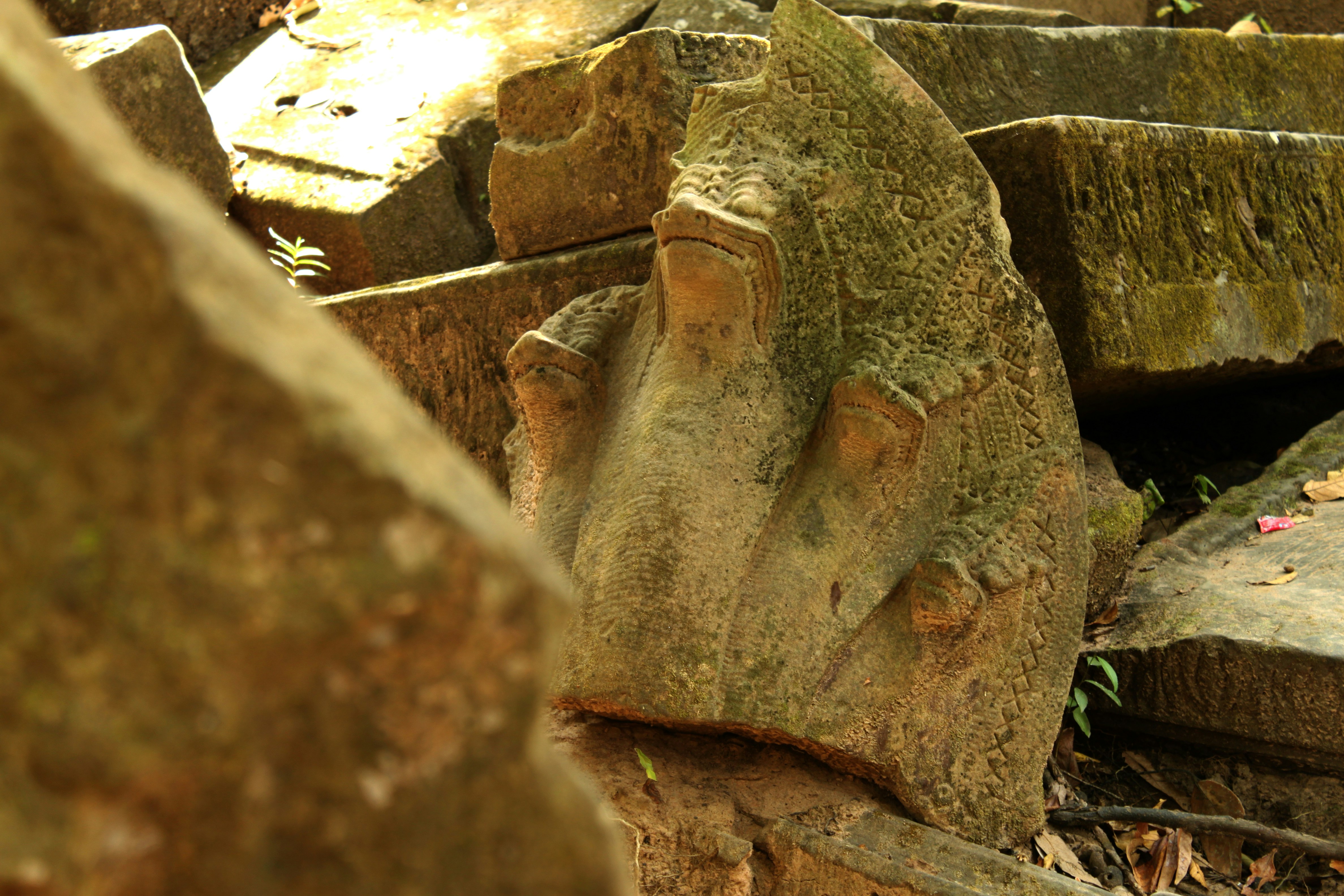 Photo by miguelbaixauli