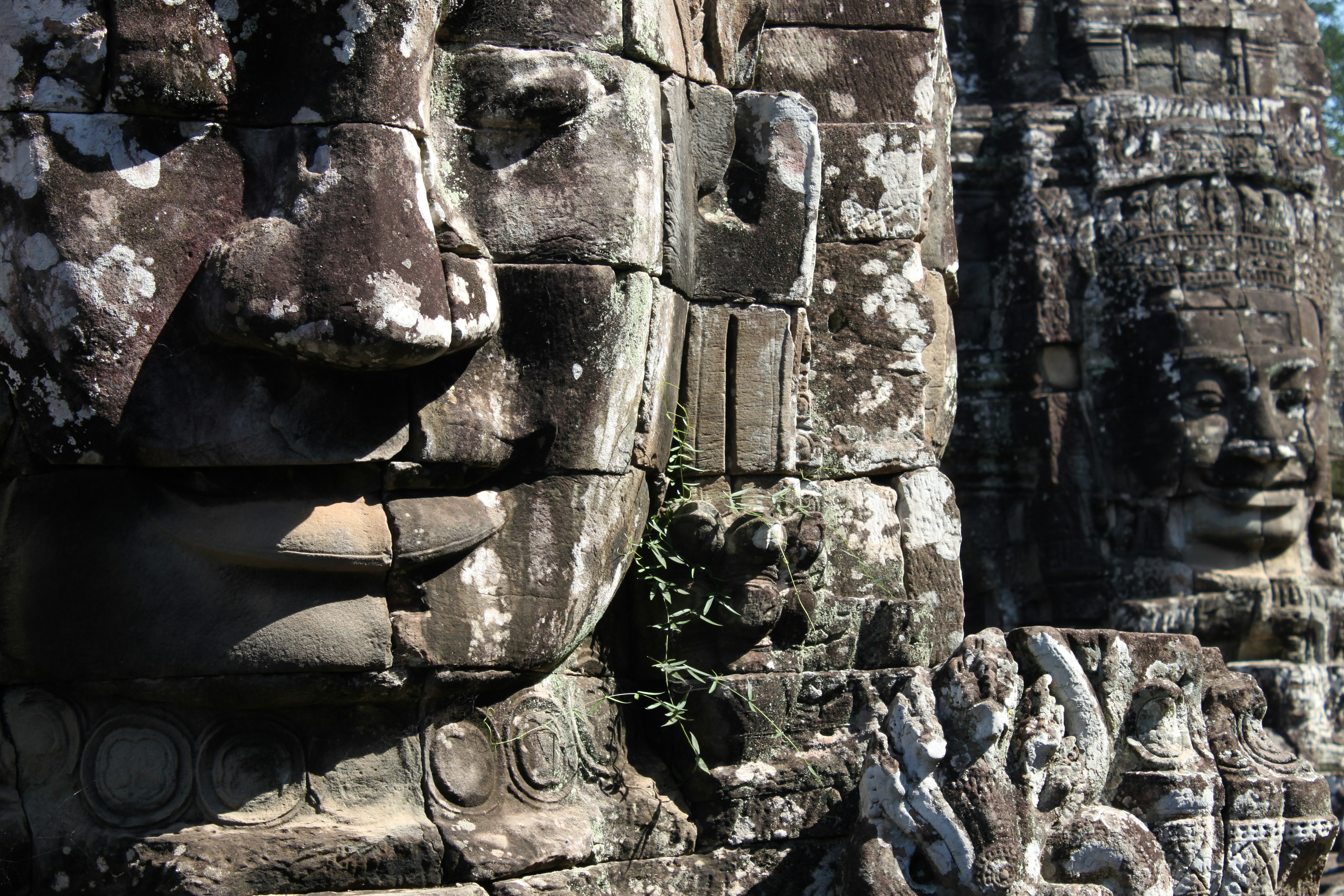 Photo by miguelbaixauli