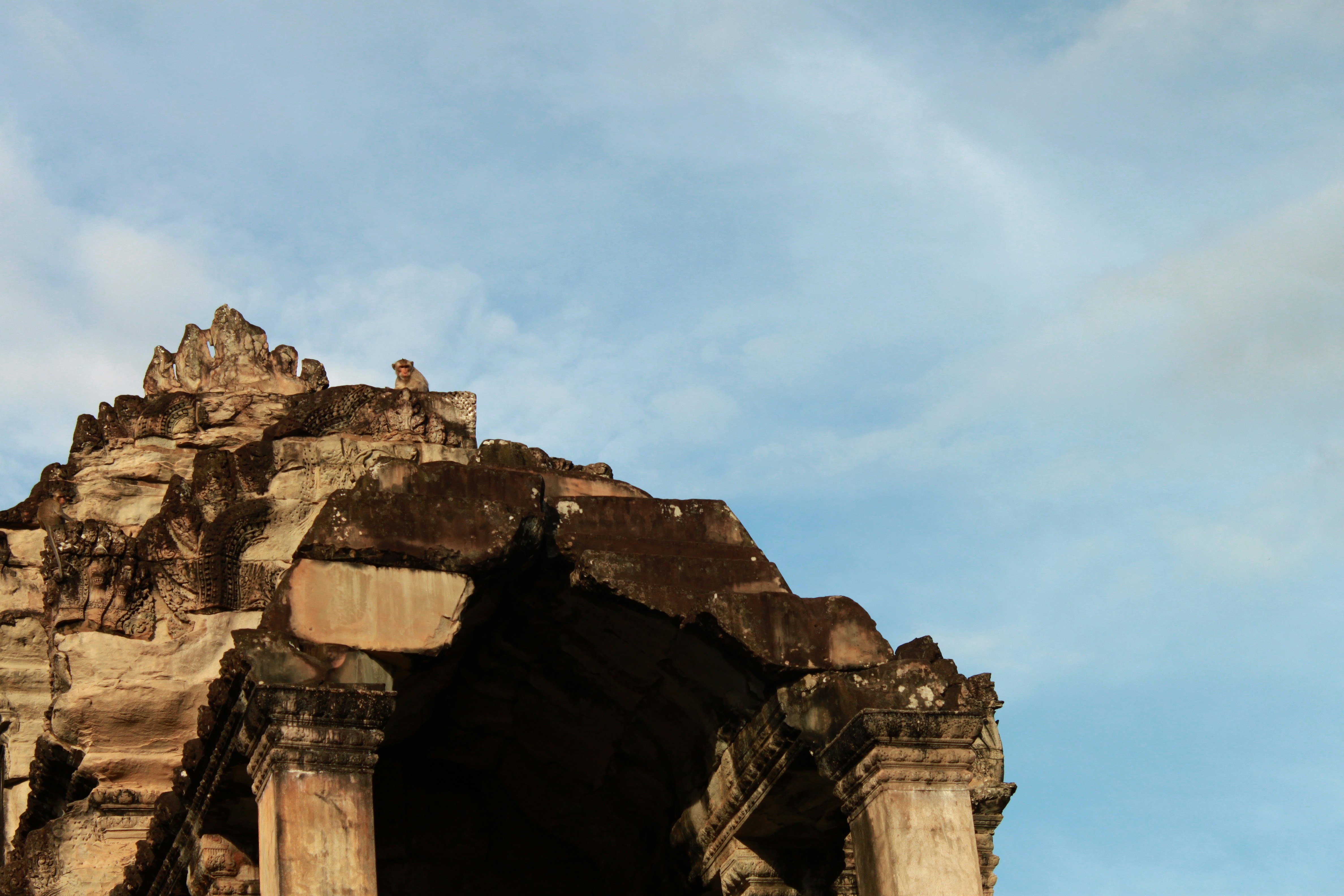 Photo by miguelbaixauli