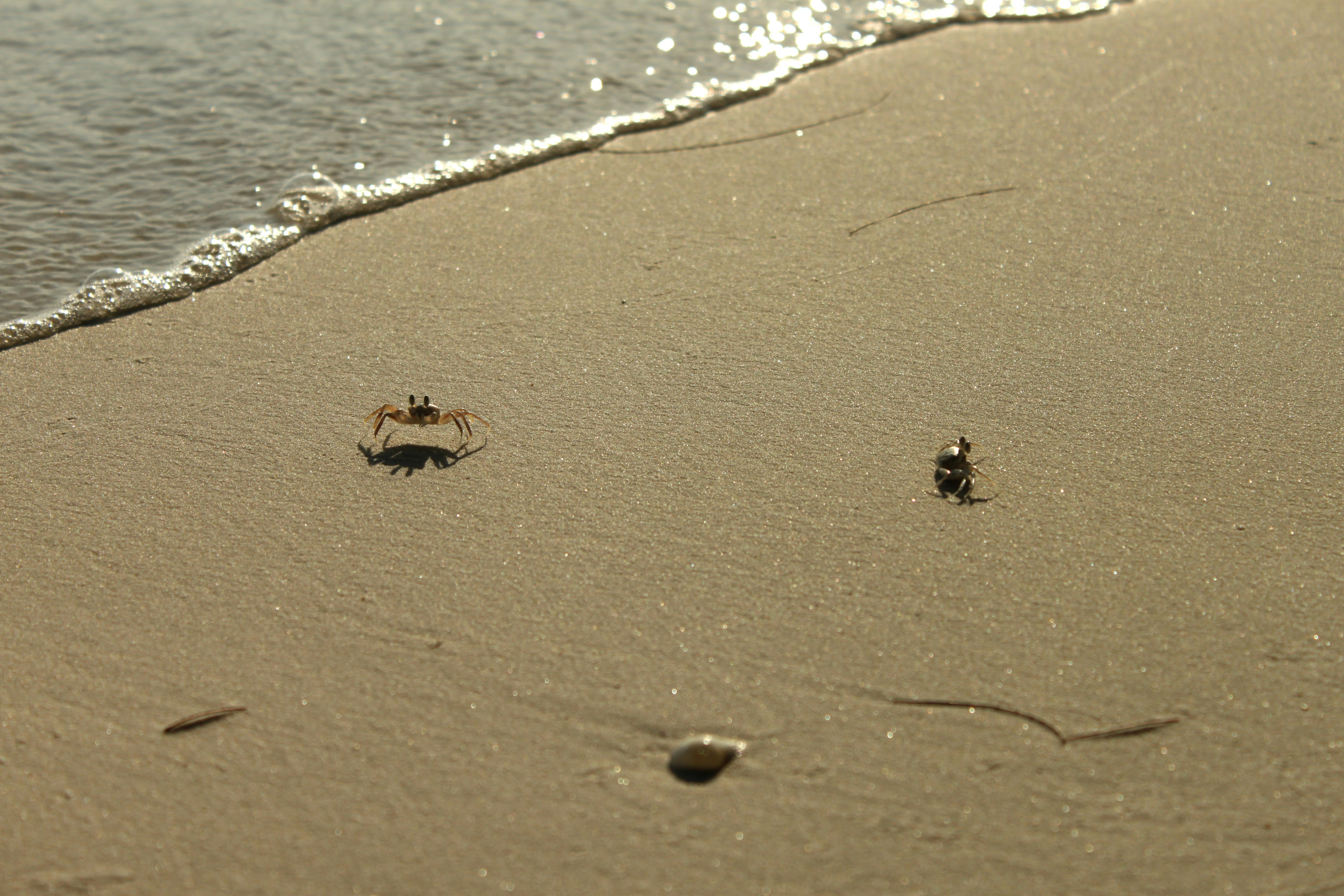 Les 8 grandes tendances des agents IA à anticiper d’ici 2026