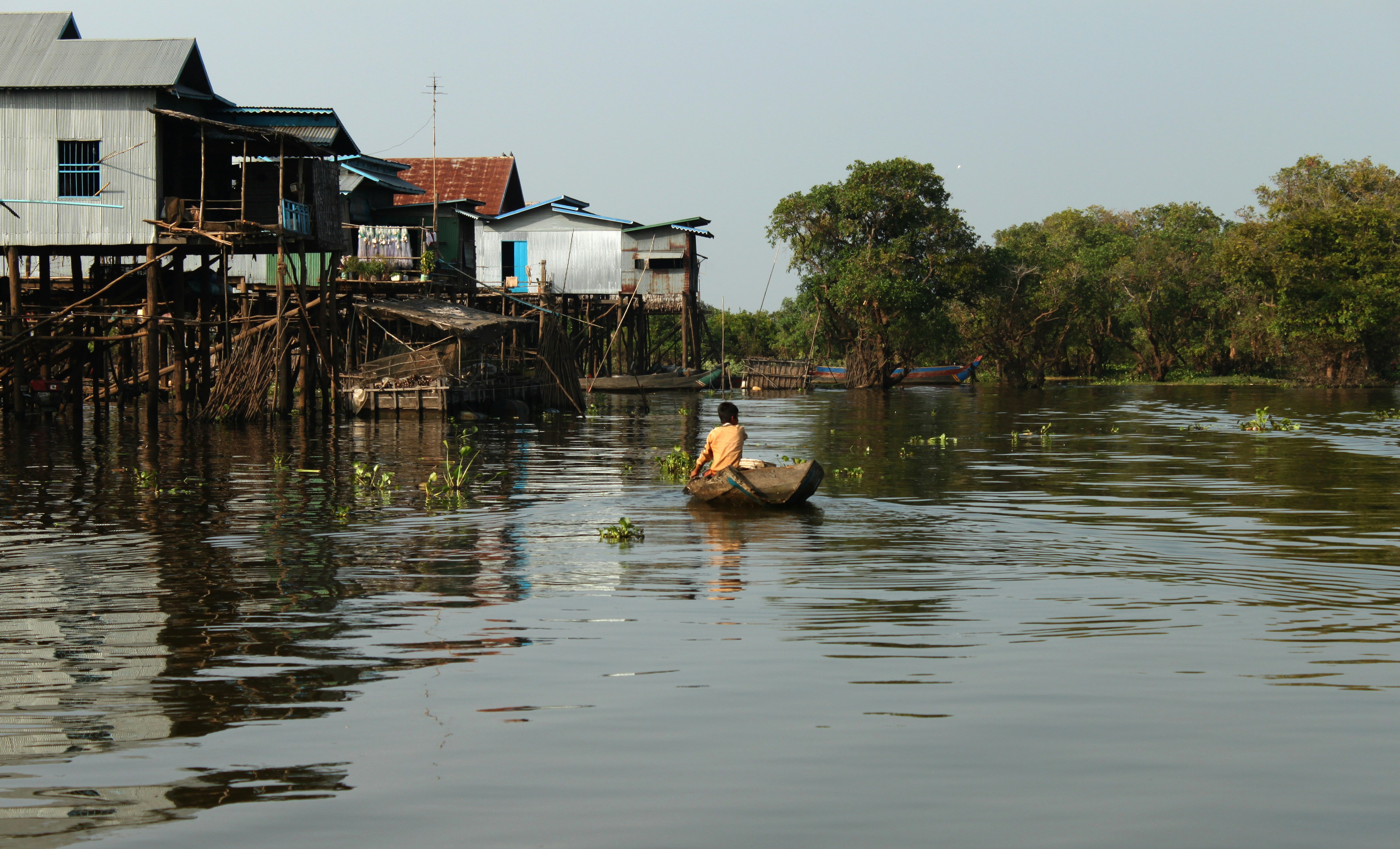 Photo by miguelbaixauli