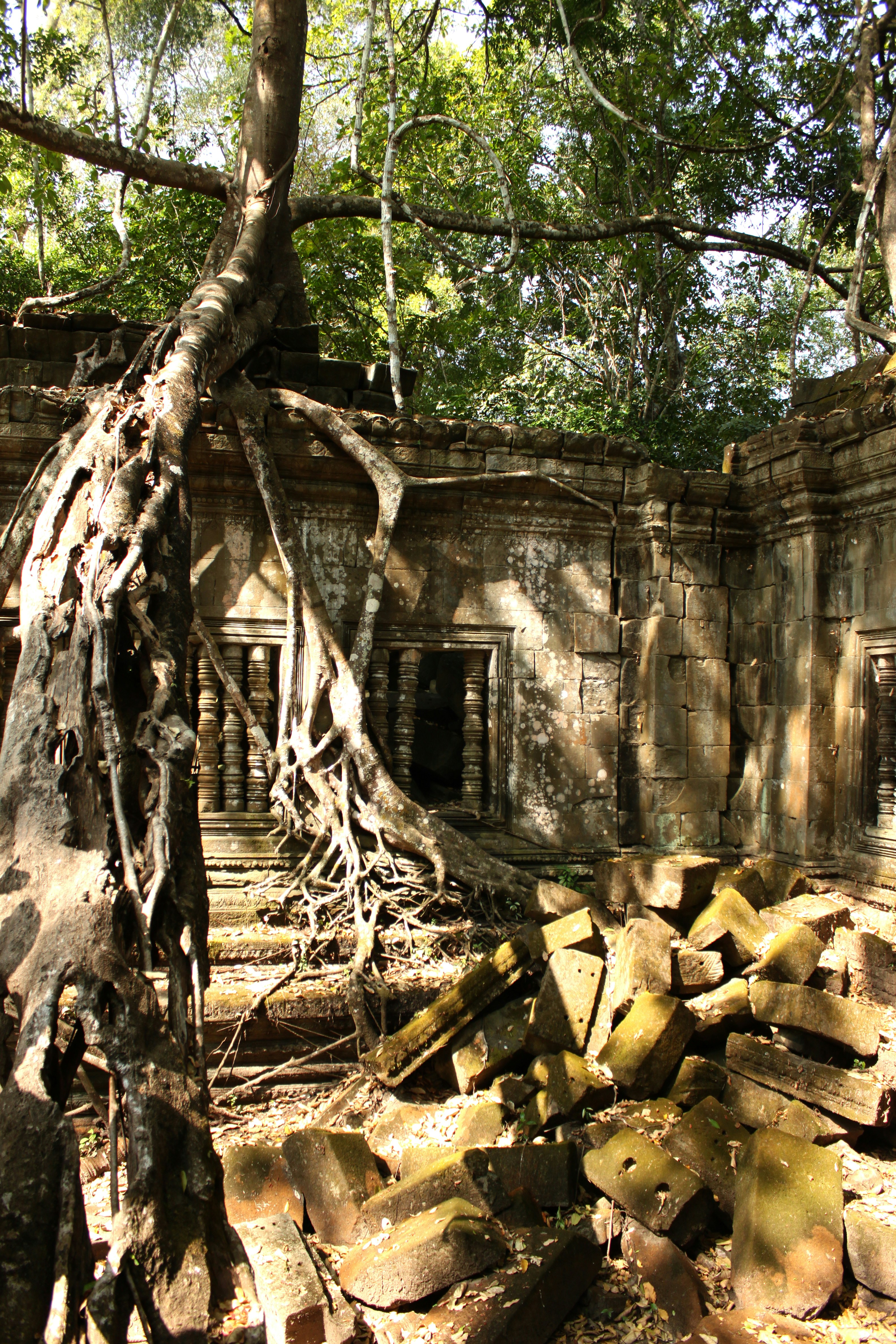 Photo by miguelbaixauli