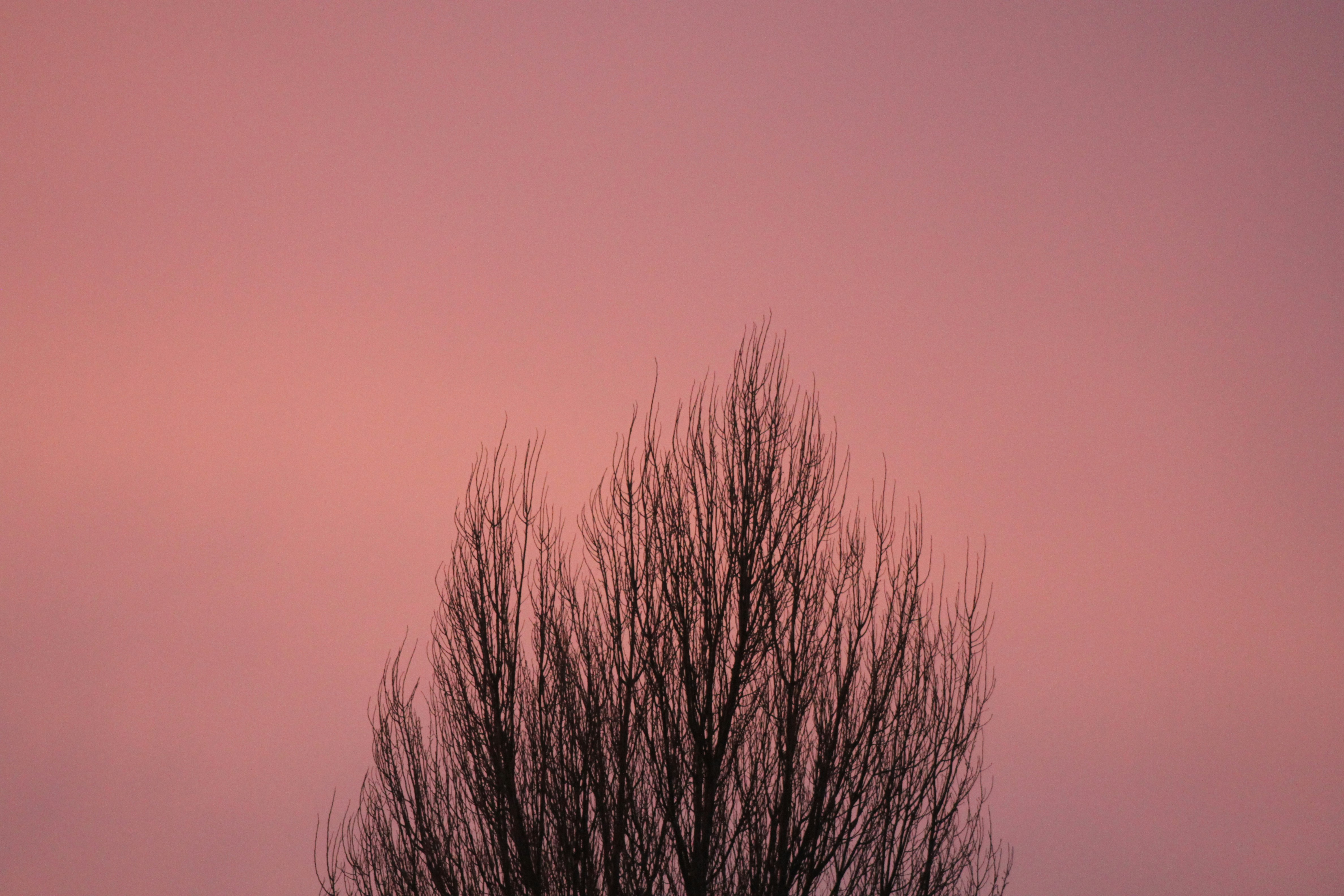 Photo by rubyphotography